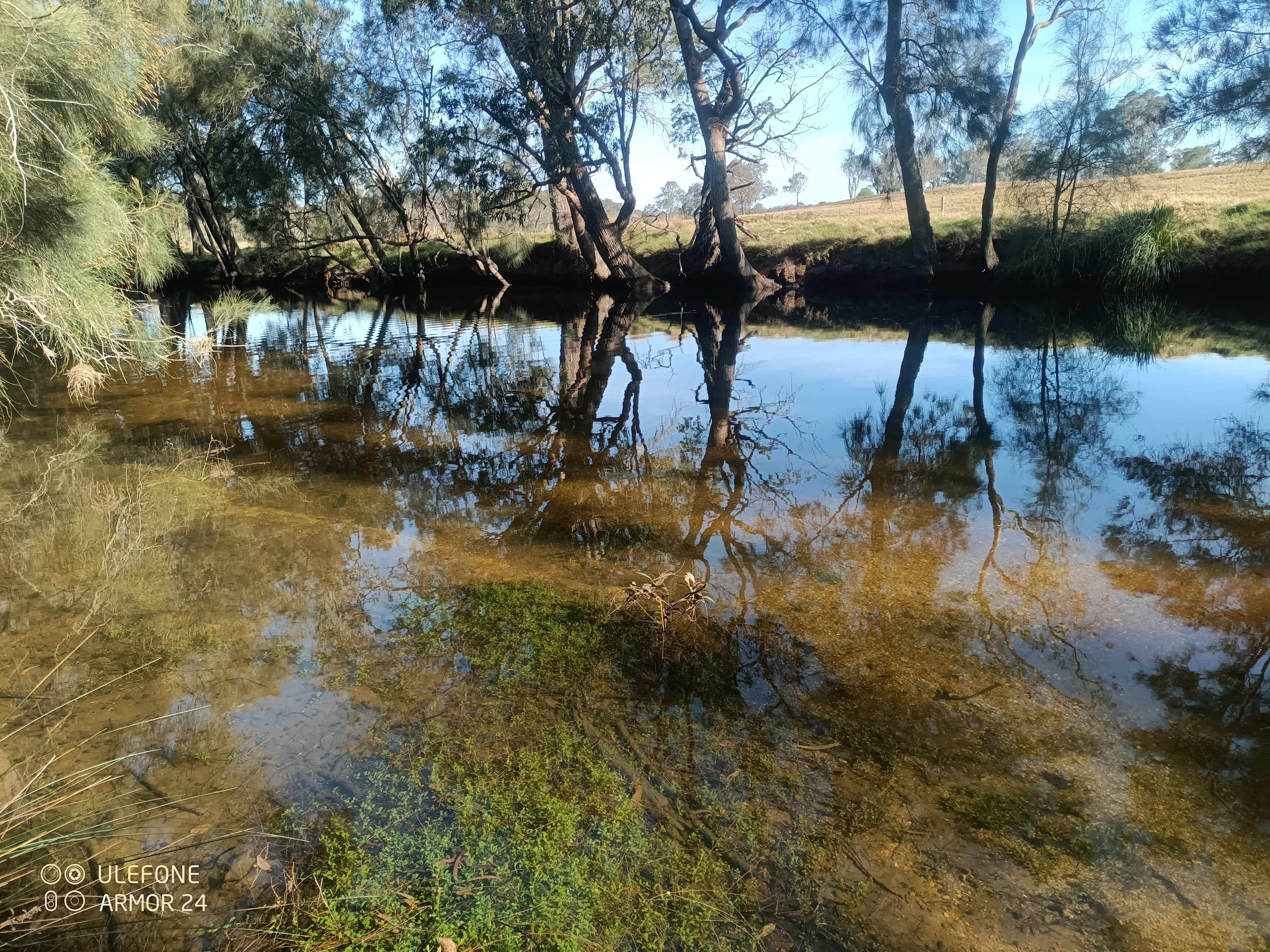 Tidal Creek at the border of the property.