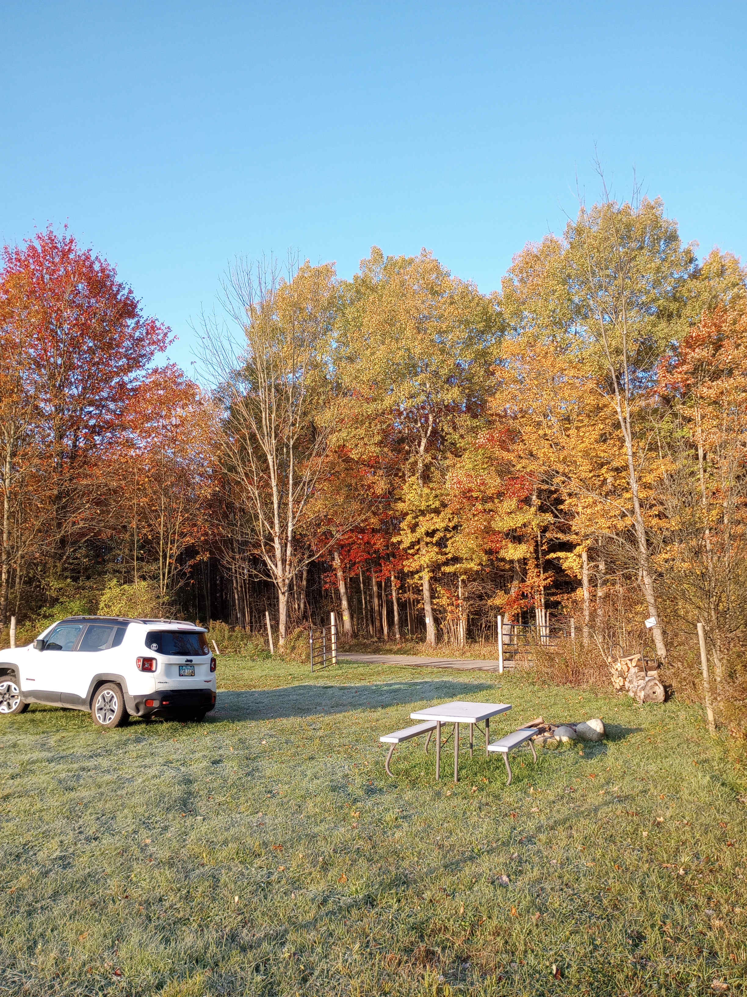 Walsh Family Farm
