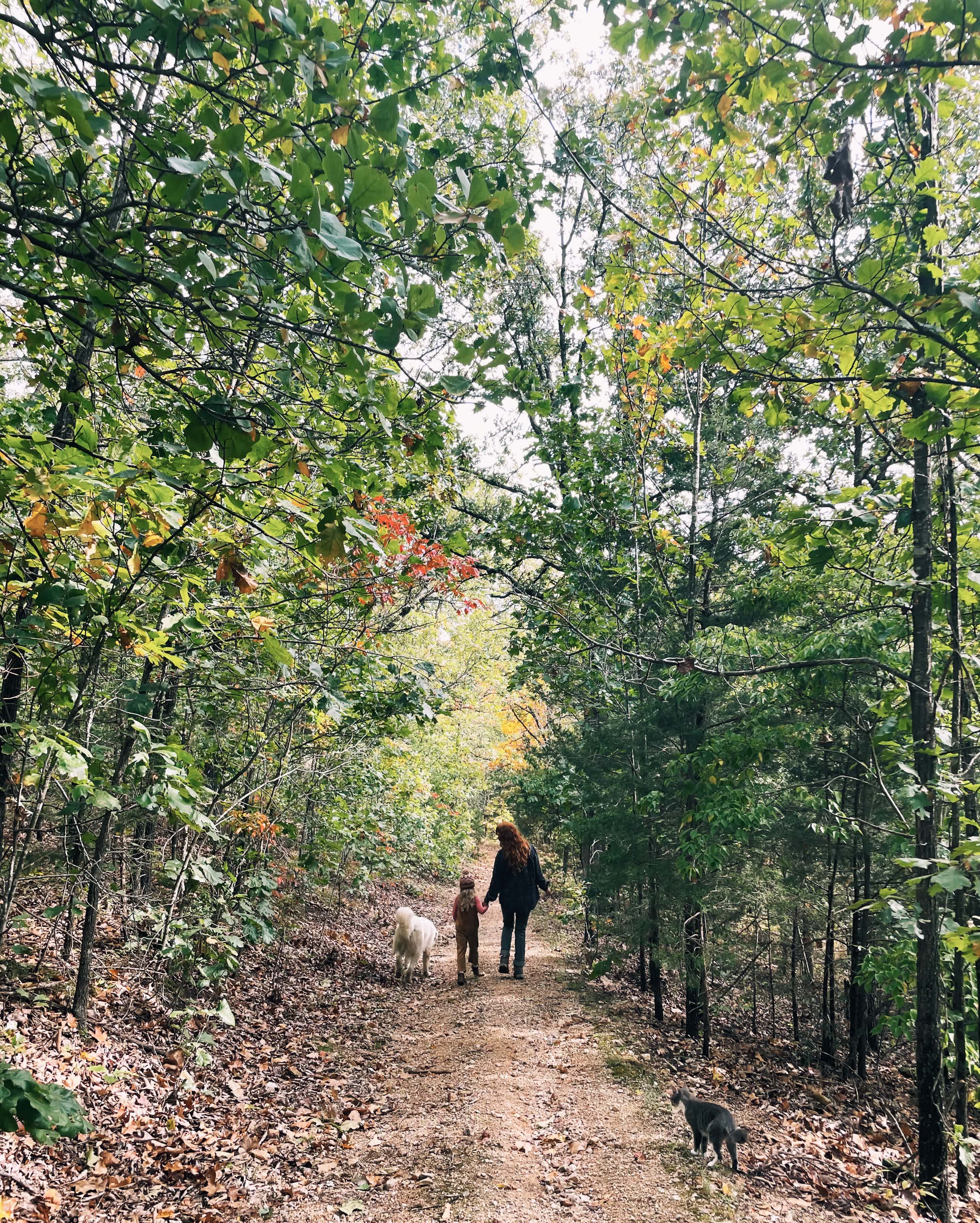 Wildflower Camp, Hike + Swim