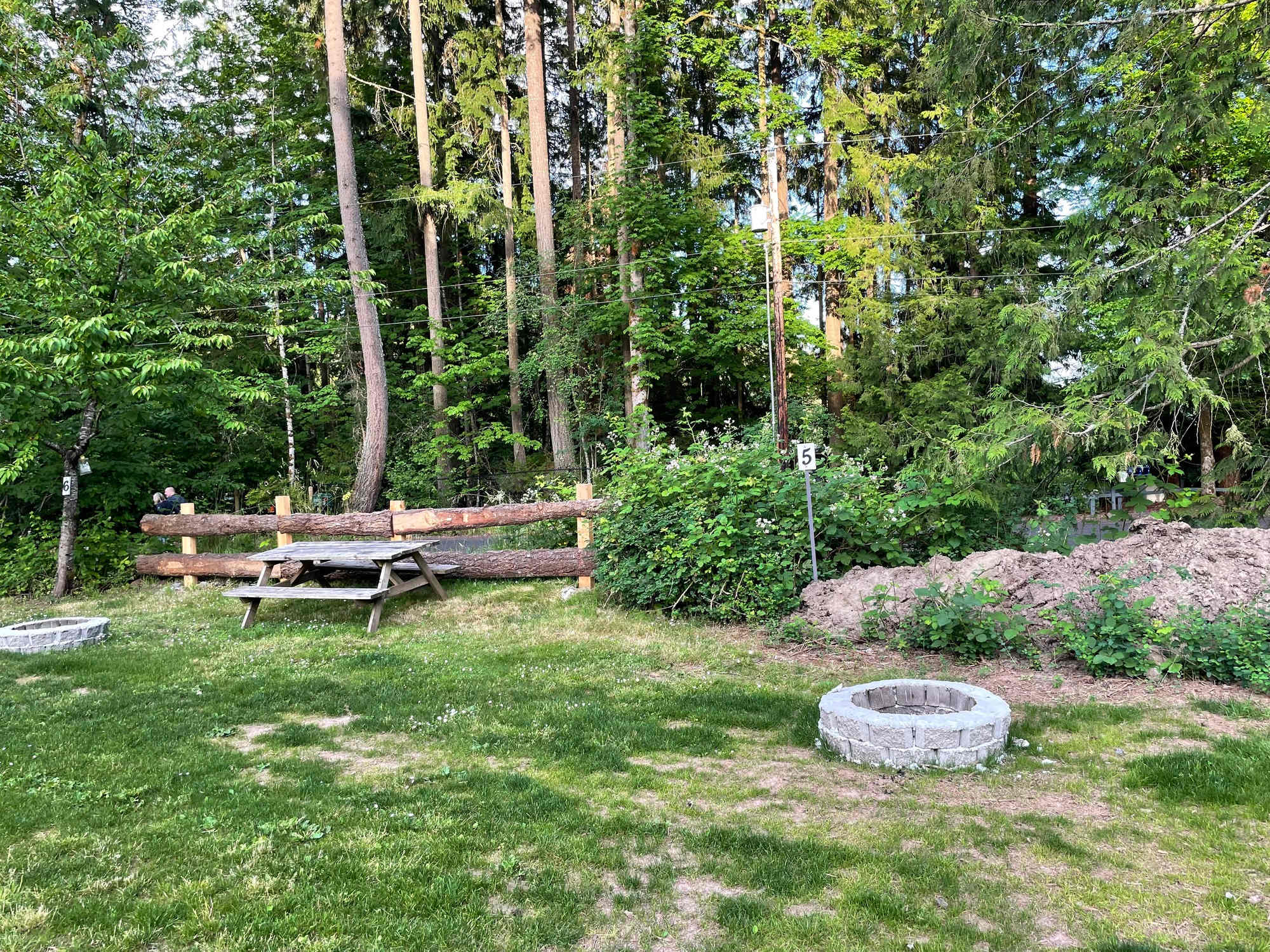 Picture of the site