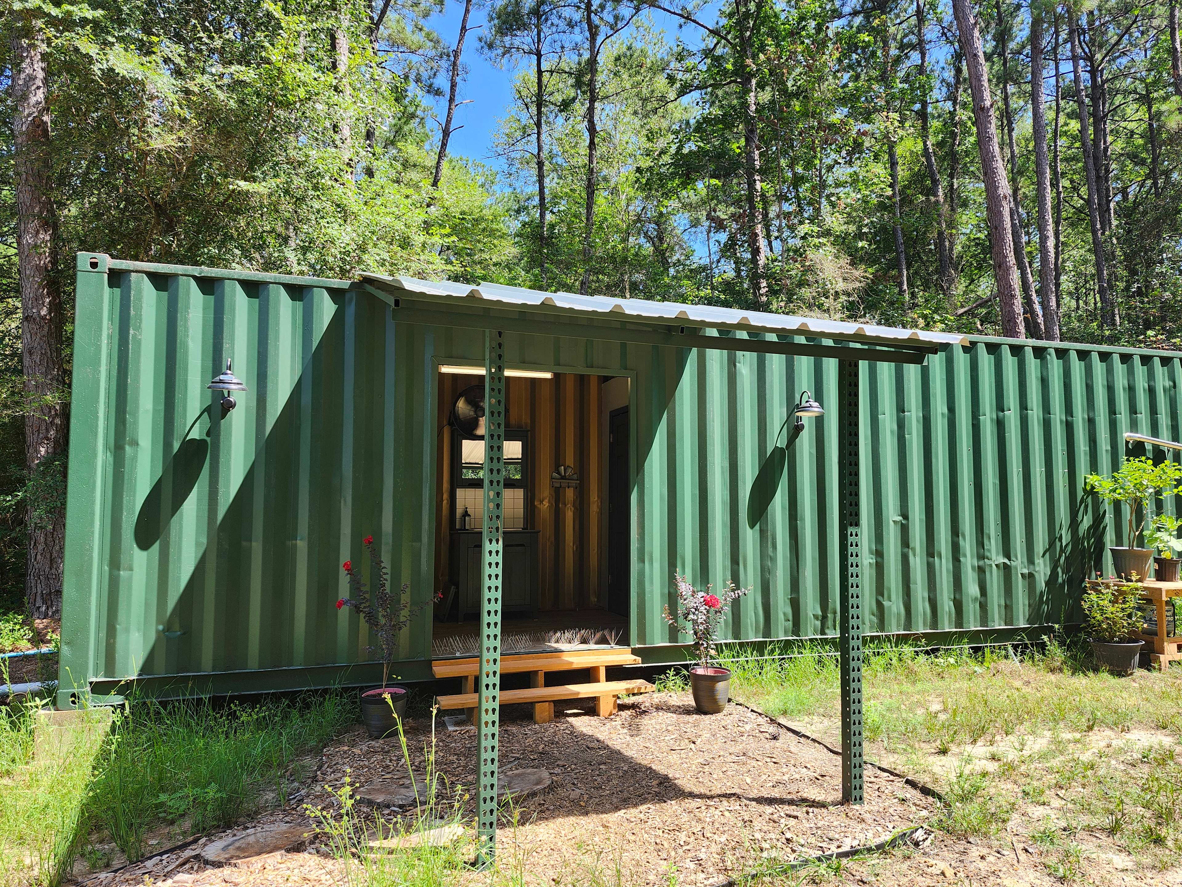Wild Wood Haven