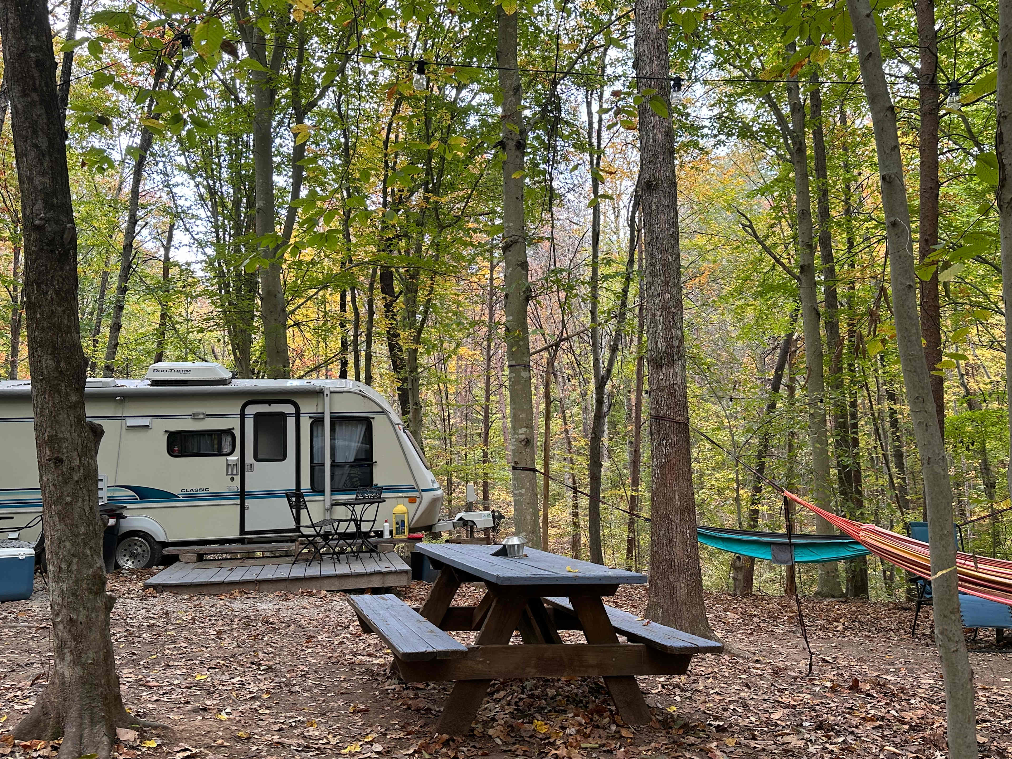 Phantom Hill Forest Retreats