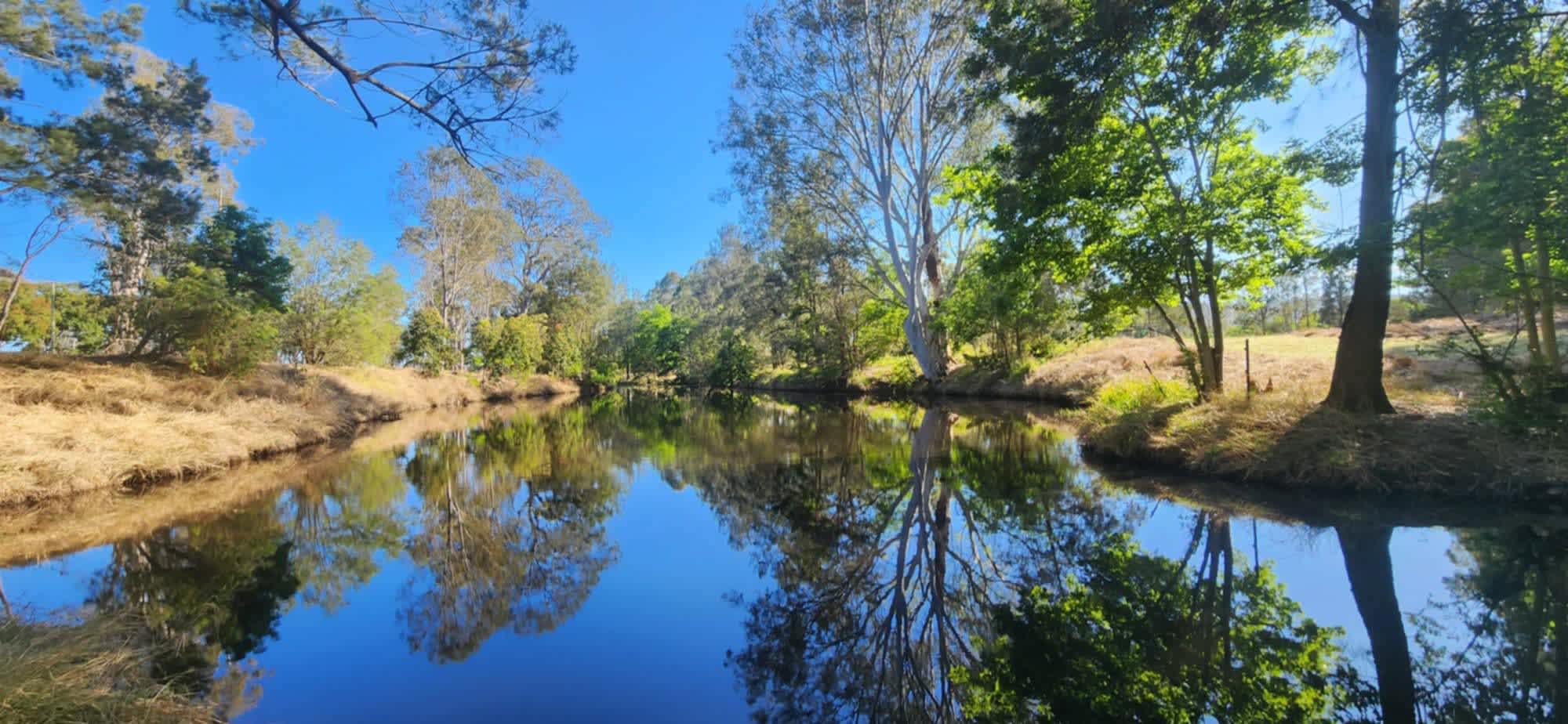 Camp By The Billabong
