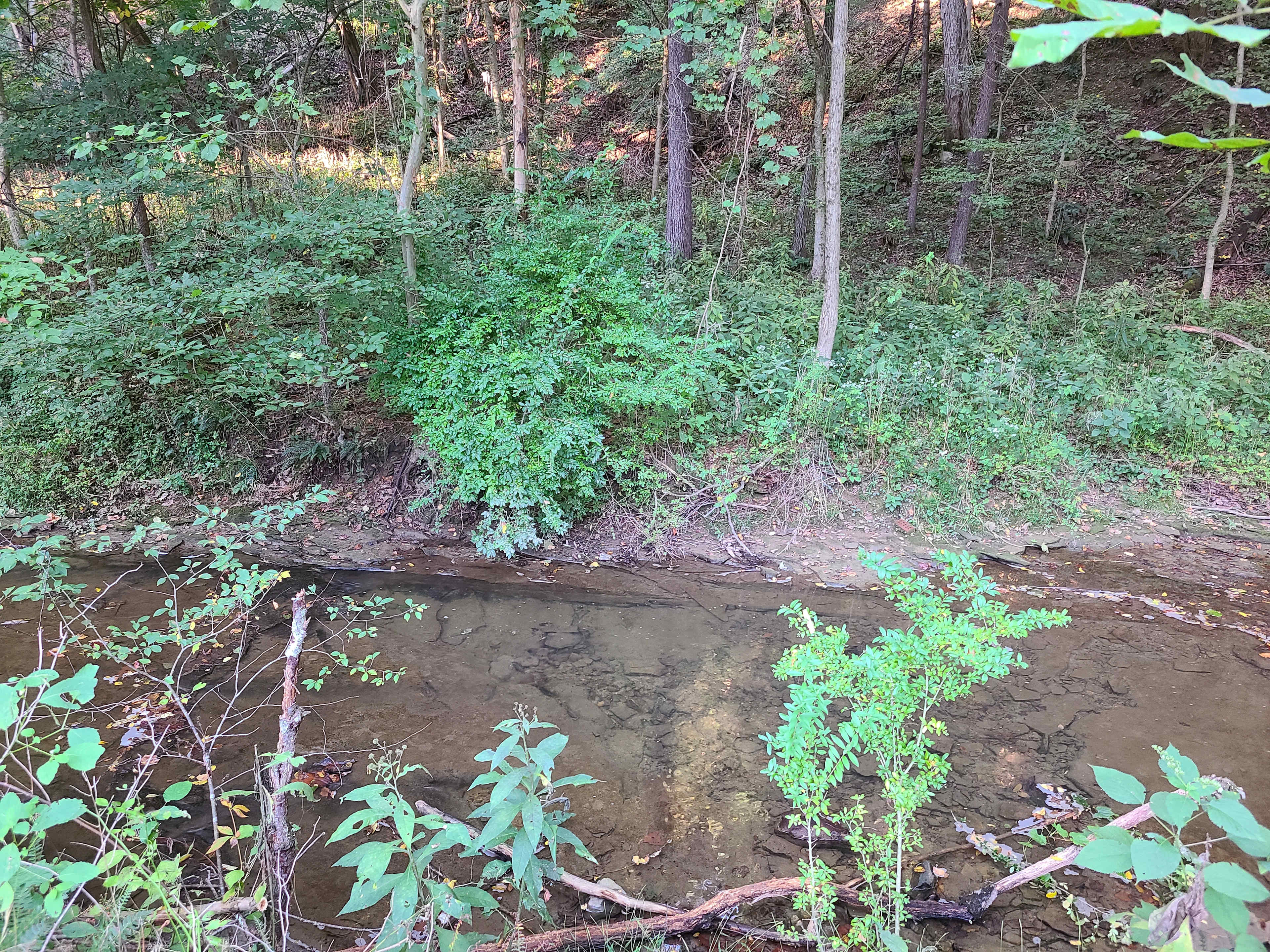Cottage & Camping At Lost Run