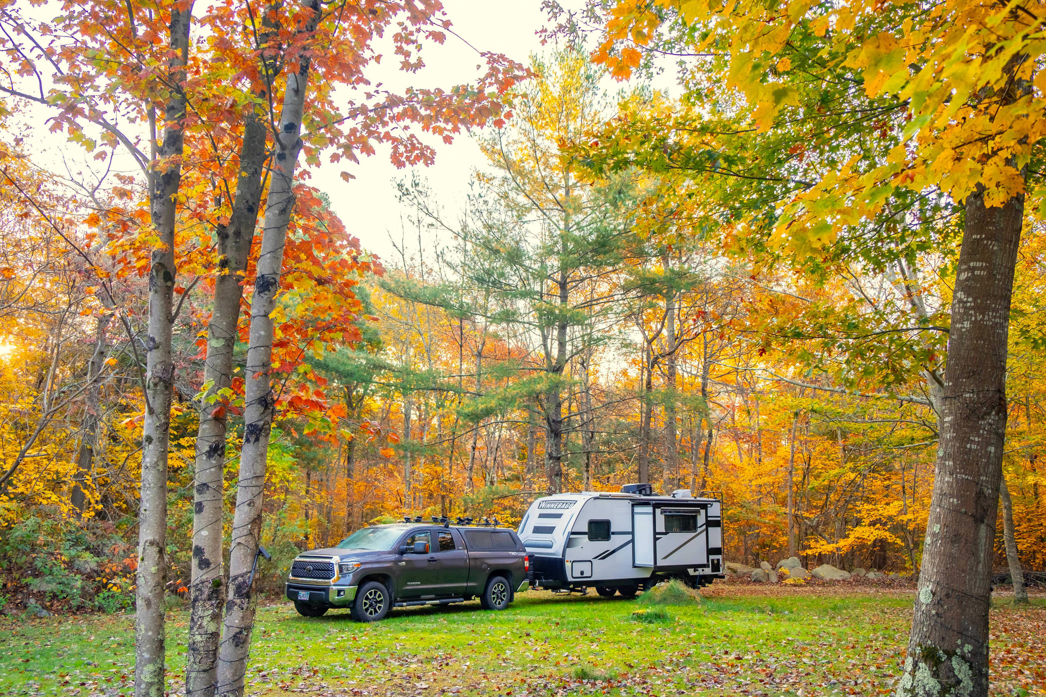 Travel trailer in site 1.