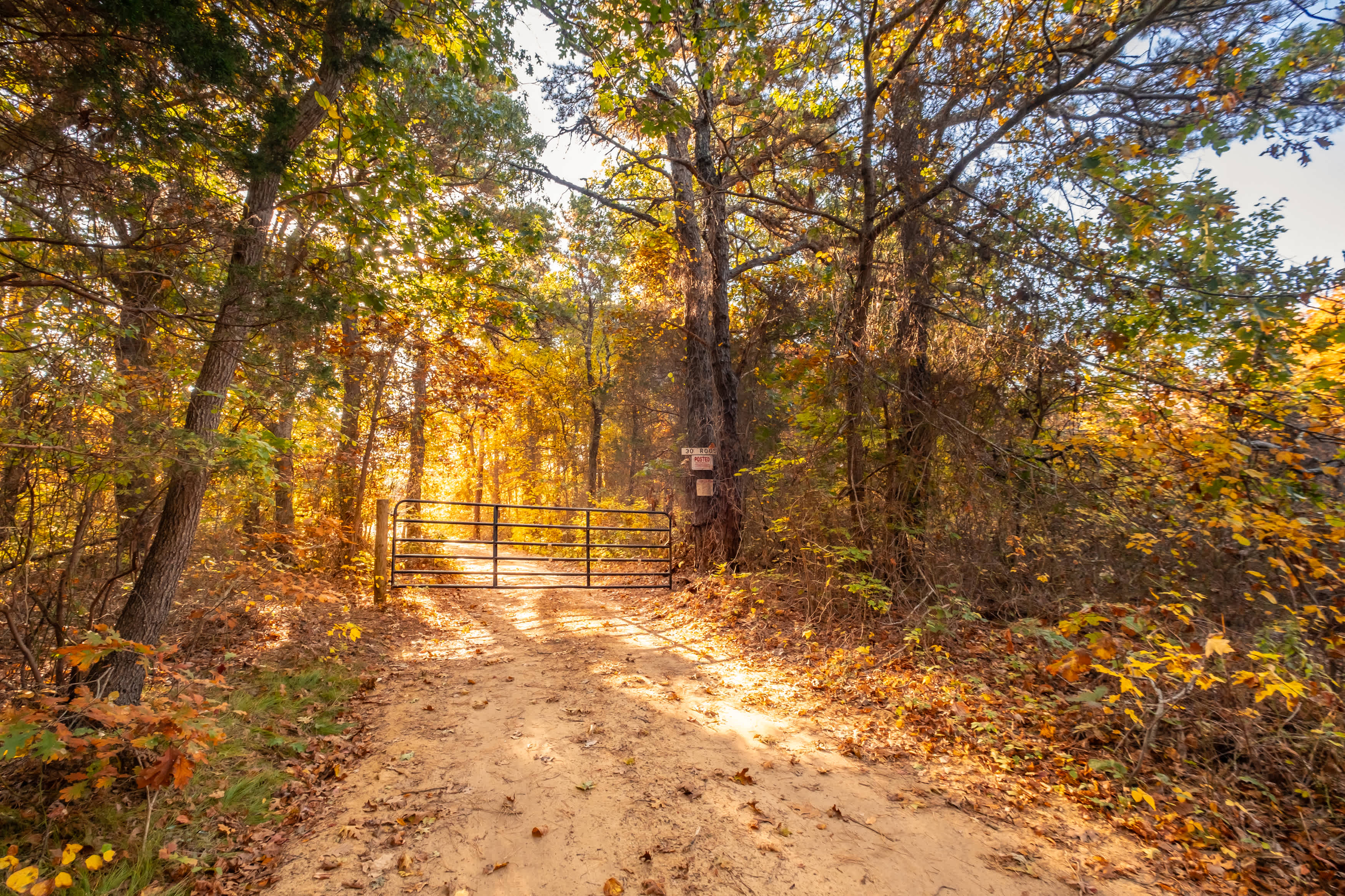 Secure entry gate.