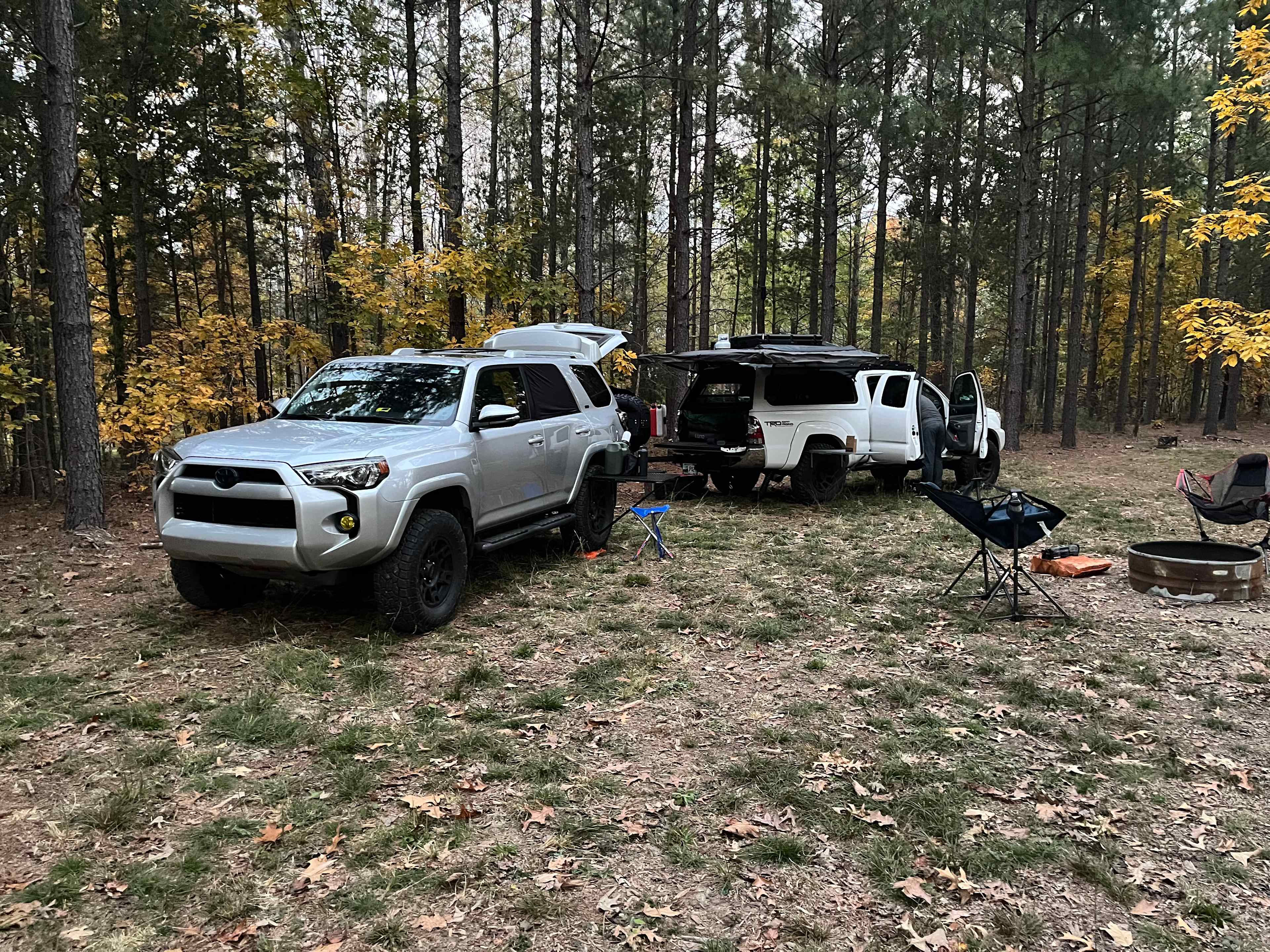 Picture of the site