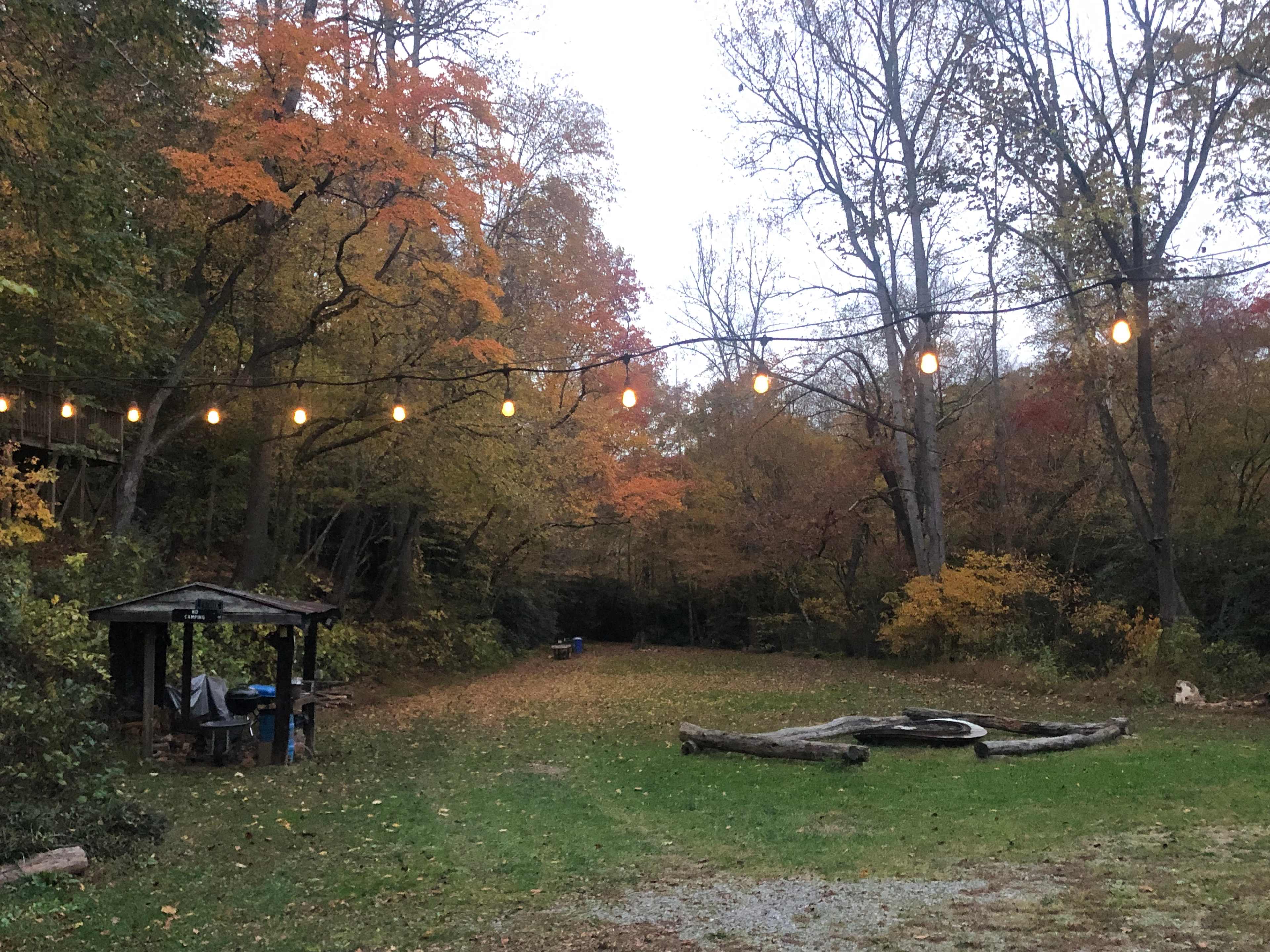 Mill Yard in the Autumn