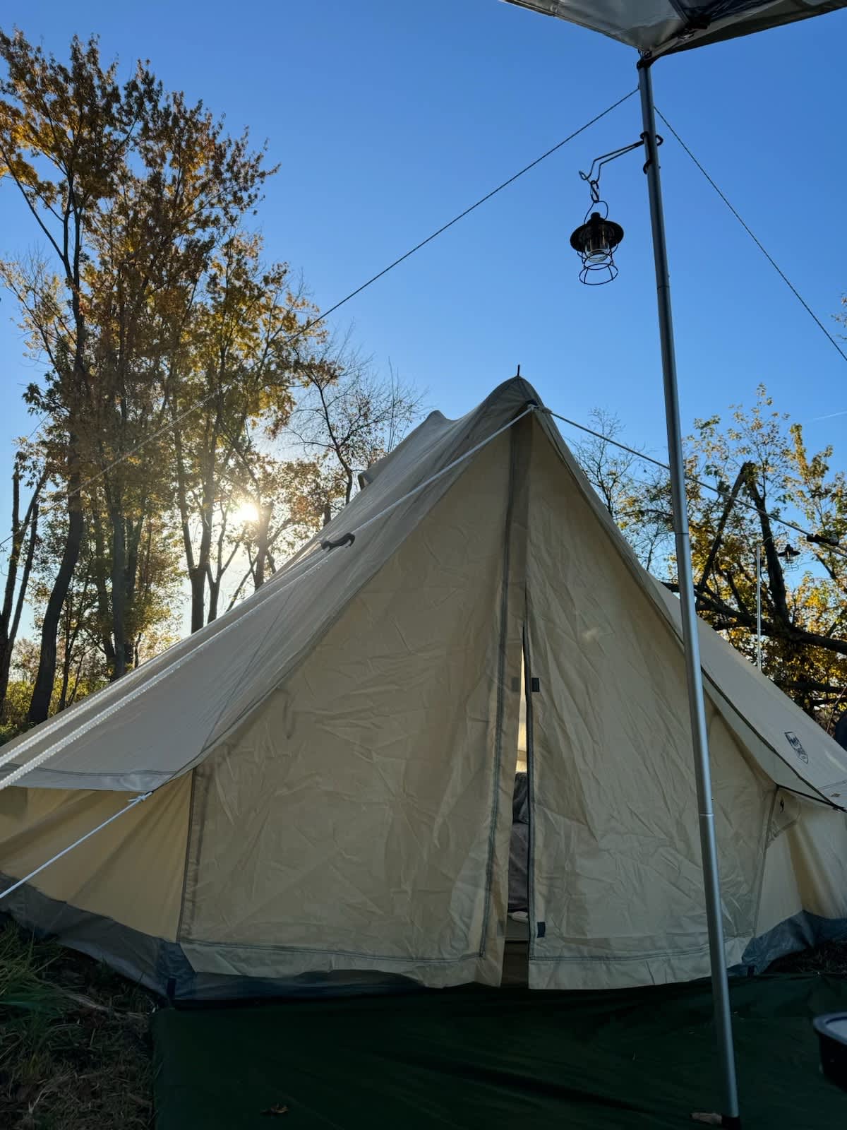 Picture of the site