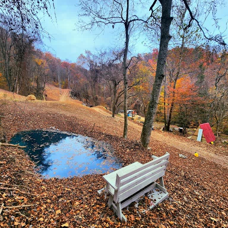 Picture of the site