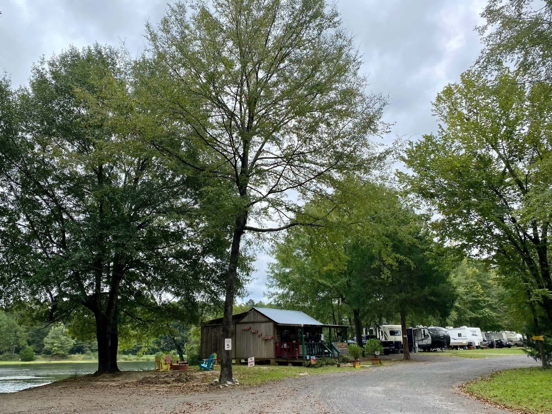 Picture of the site