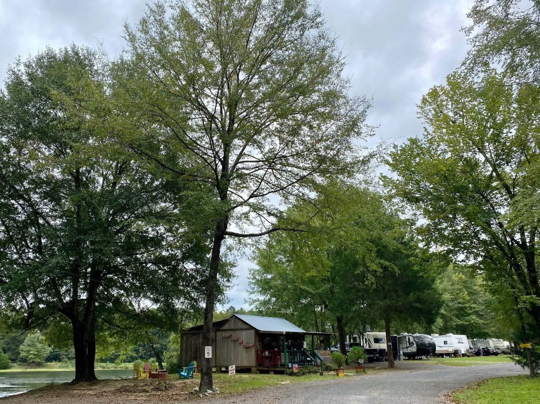 Picture of the site