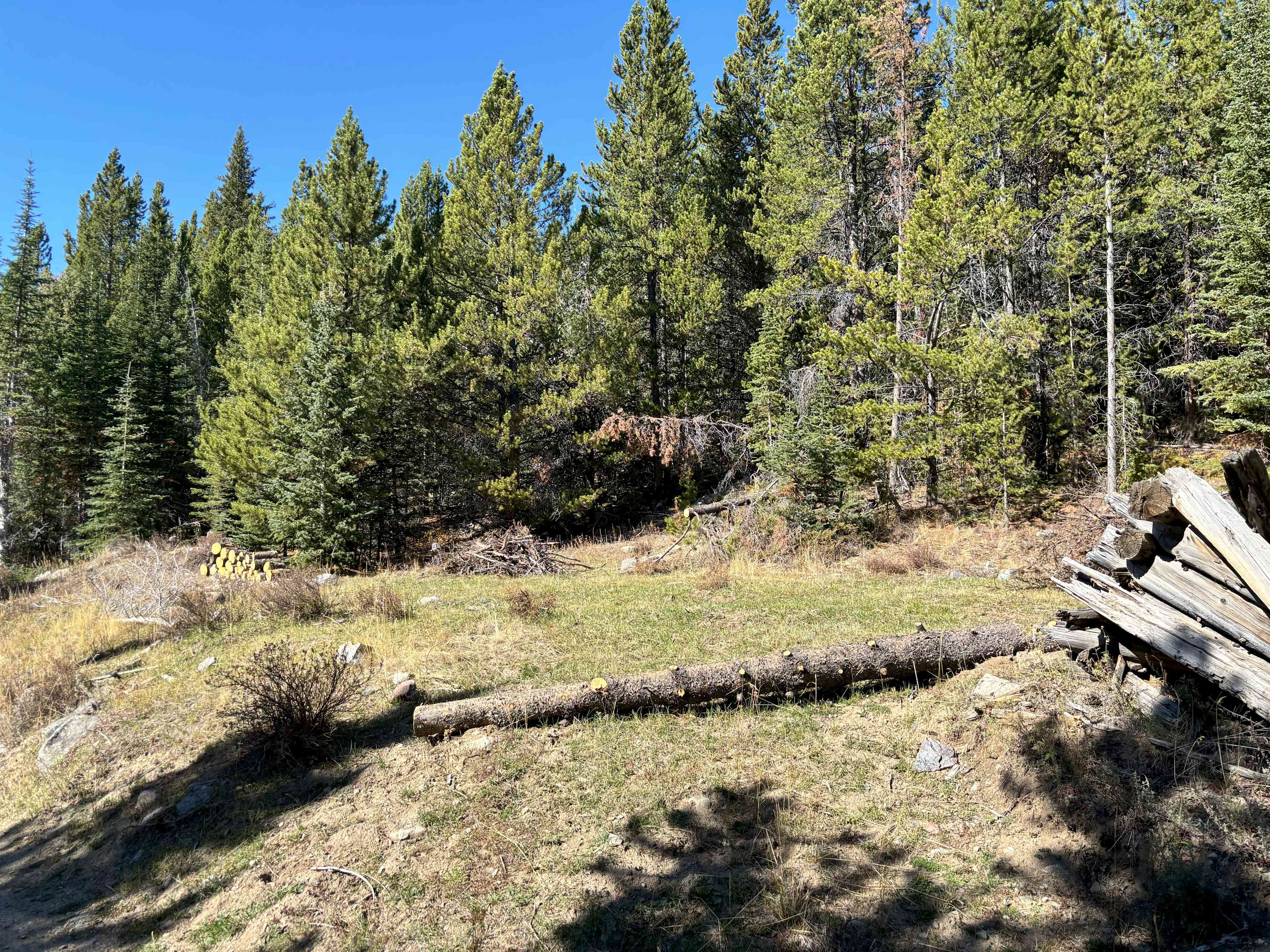 Creekside Private Camp In USFS
