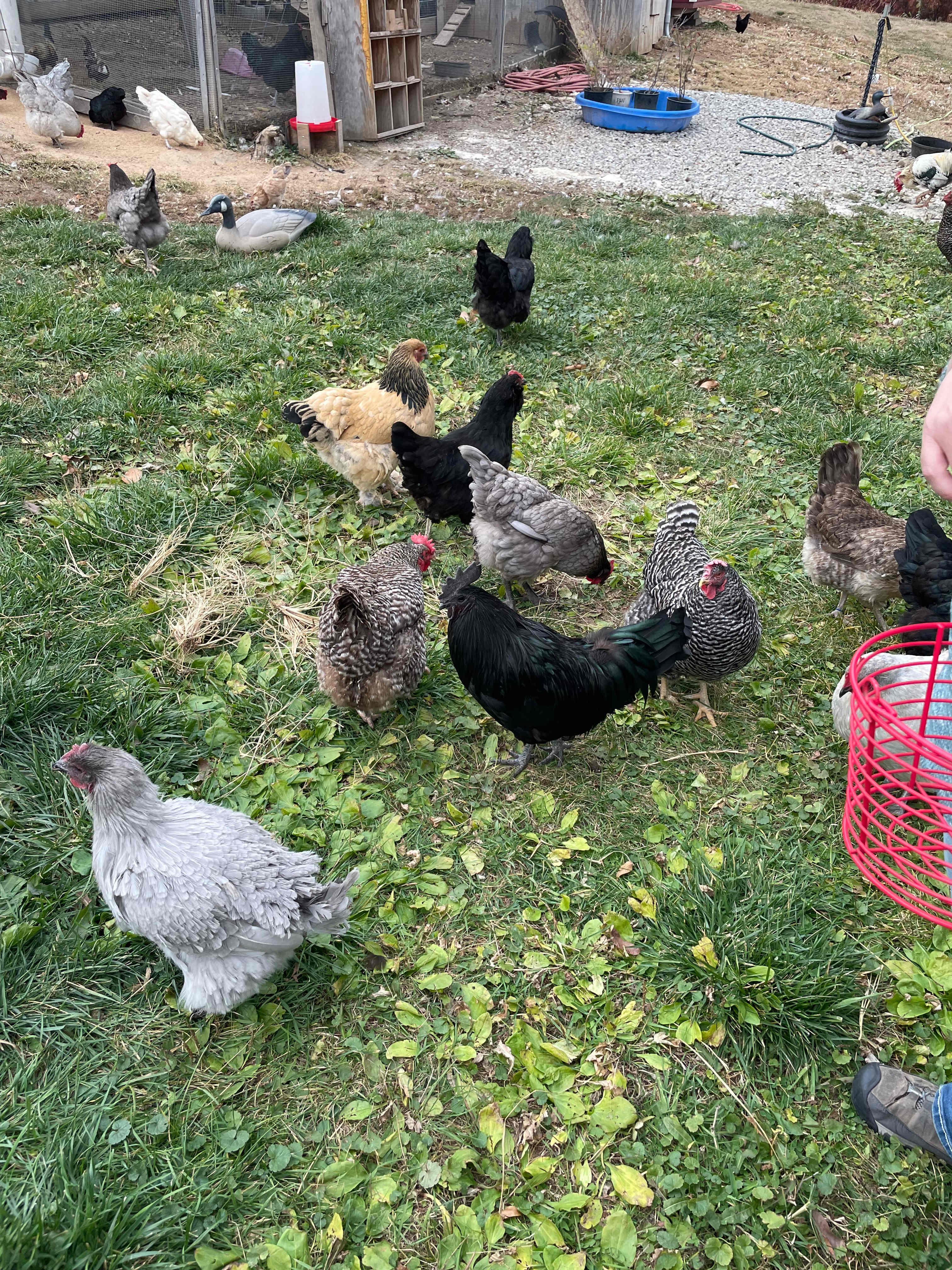 You have to try feeding them by hand! It’s a really cool experience and Amy is very knowledgeable!