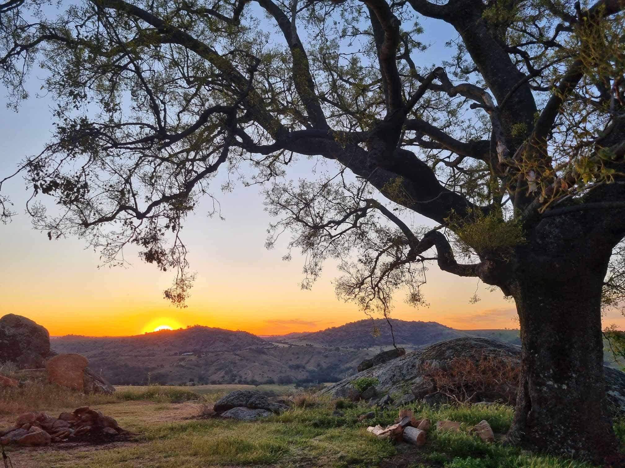 REVELSTONE MOUNTAIN CAMPS