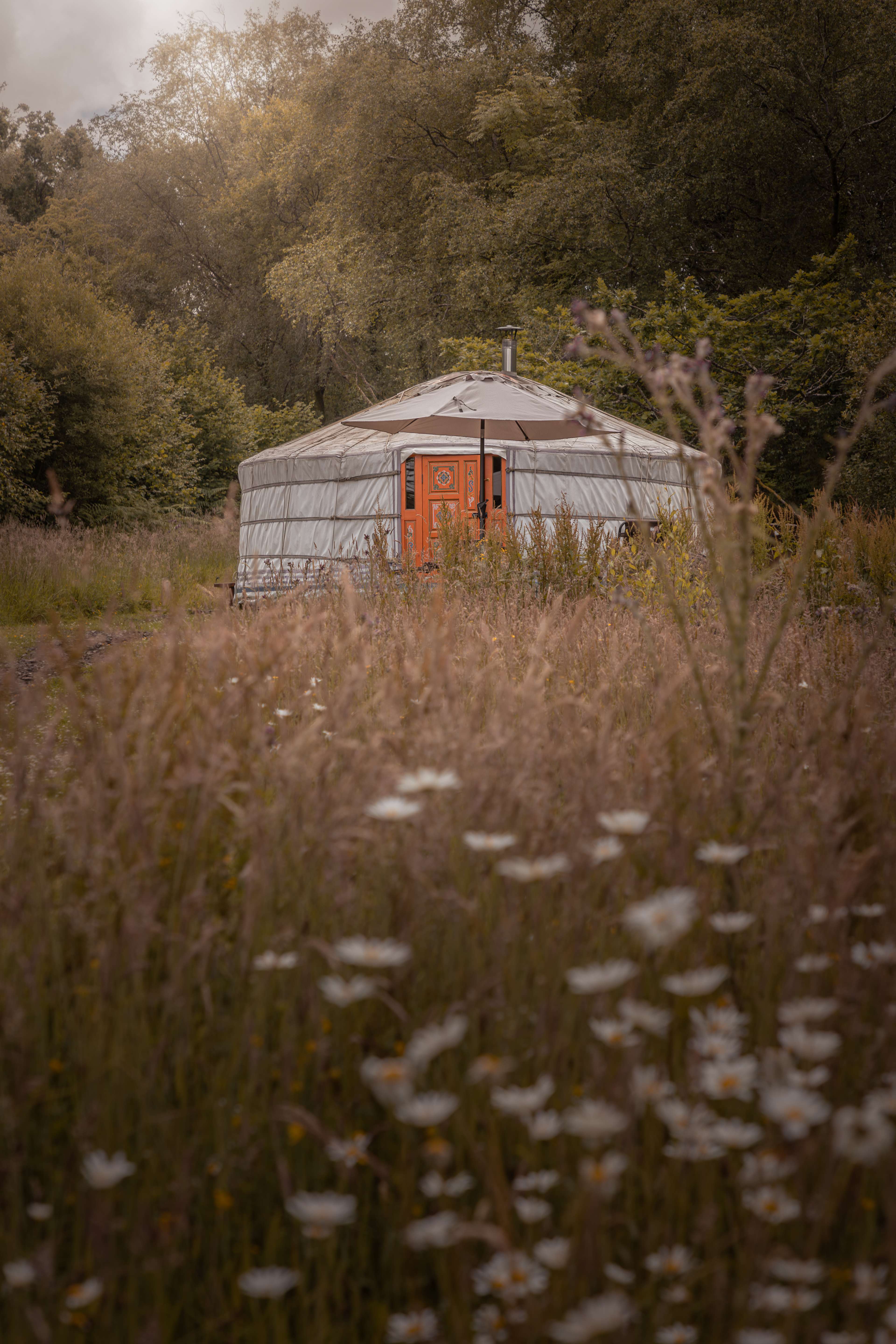 Gilfach Gower Farm Luxury Yurt