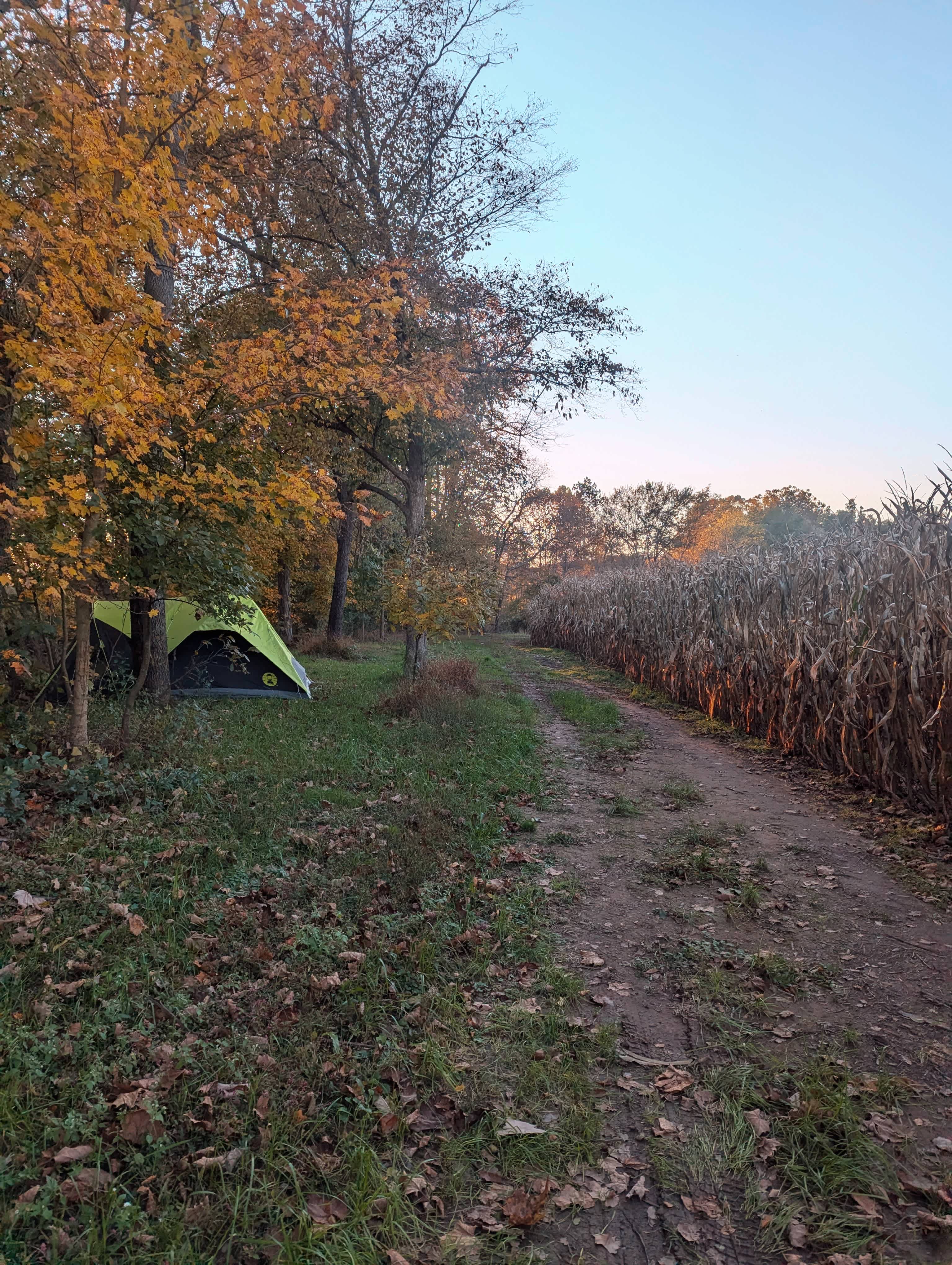 Picture of the site
