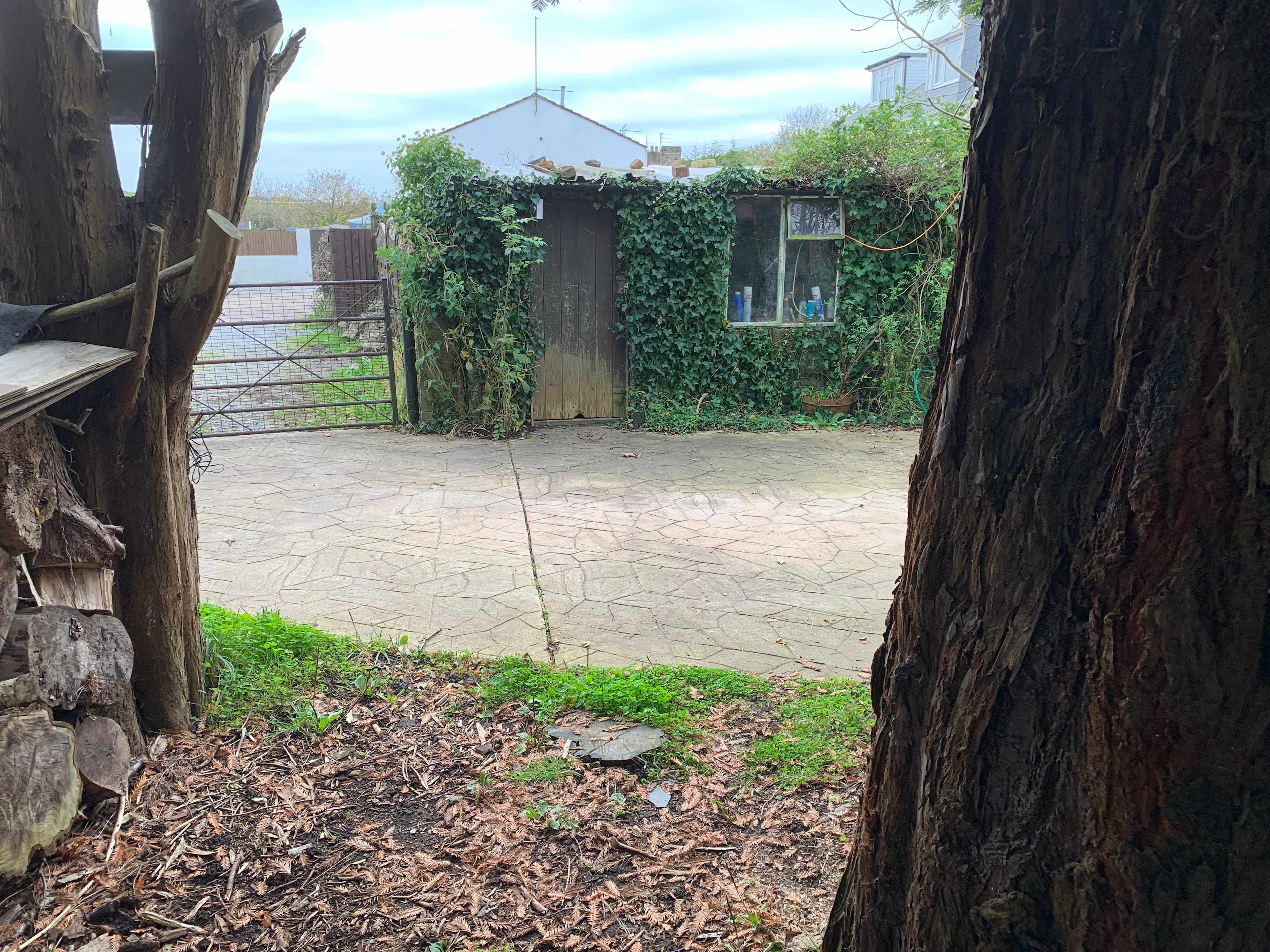 Forest Garden Camp Spot Cardiff