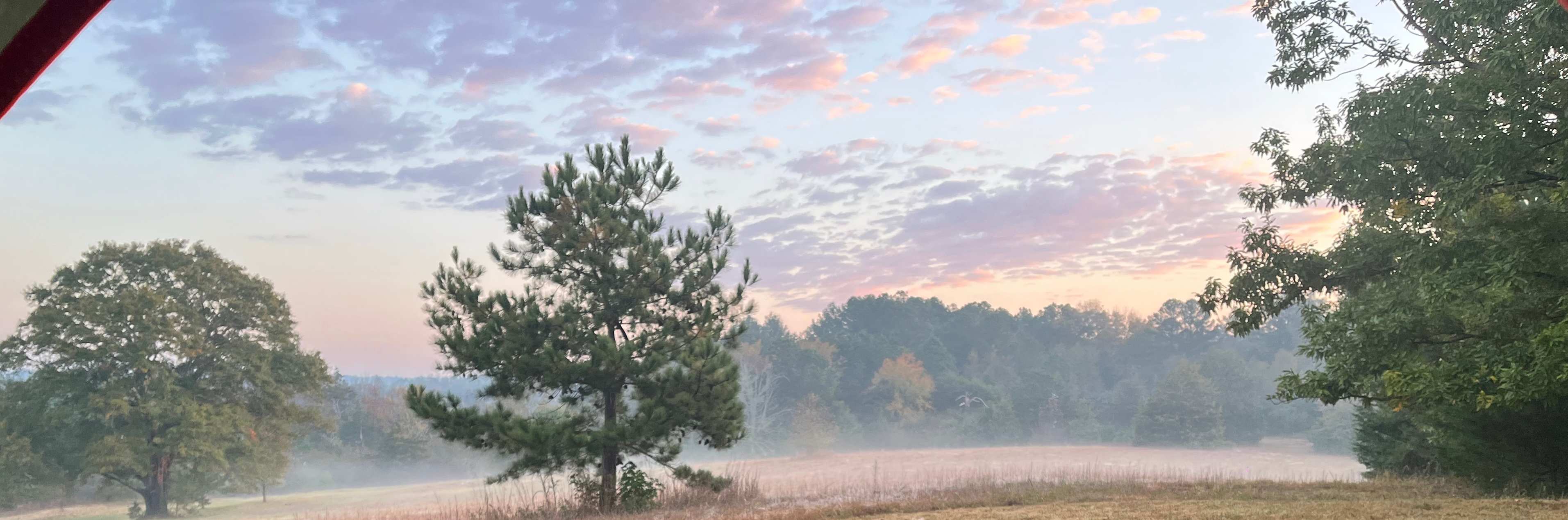 This is an actual picture taken early one morning!
So peaceful!