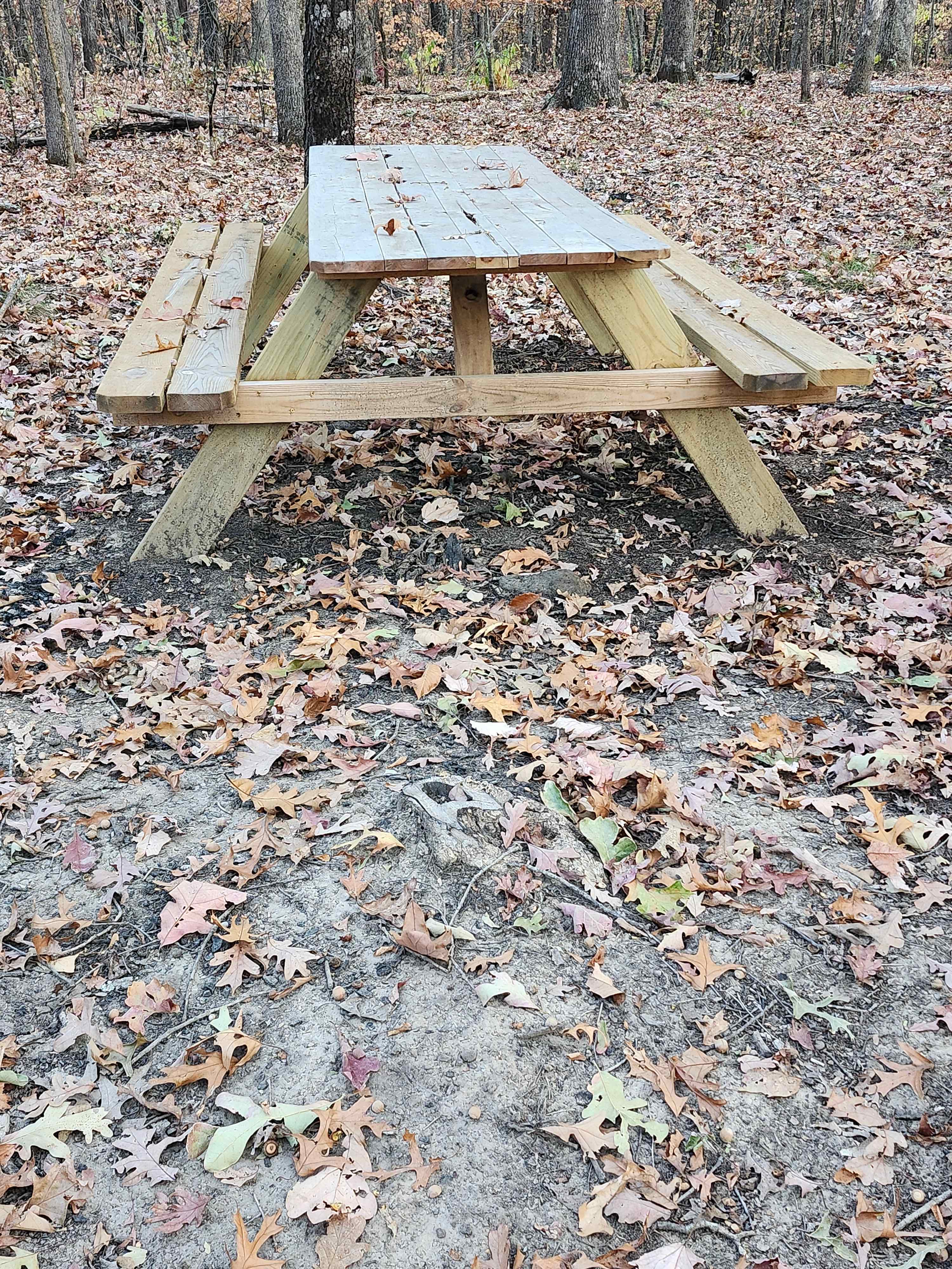 Secluded Camp near Buffalo River