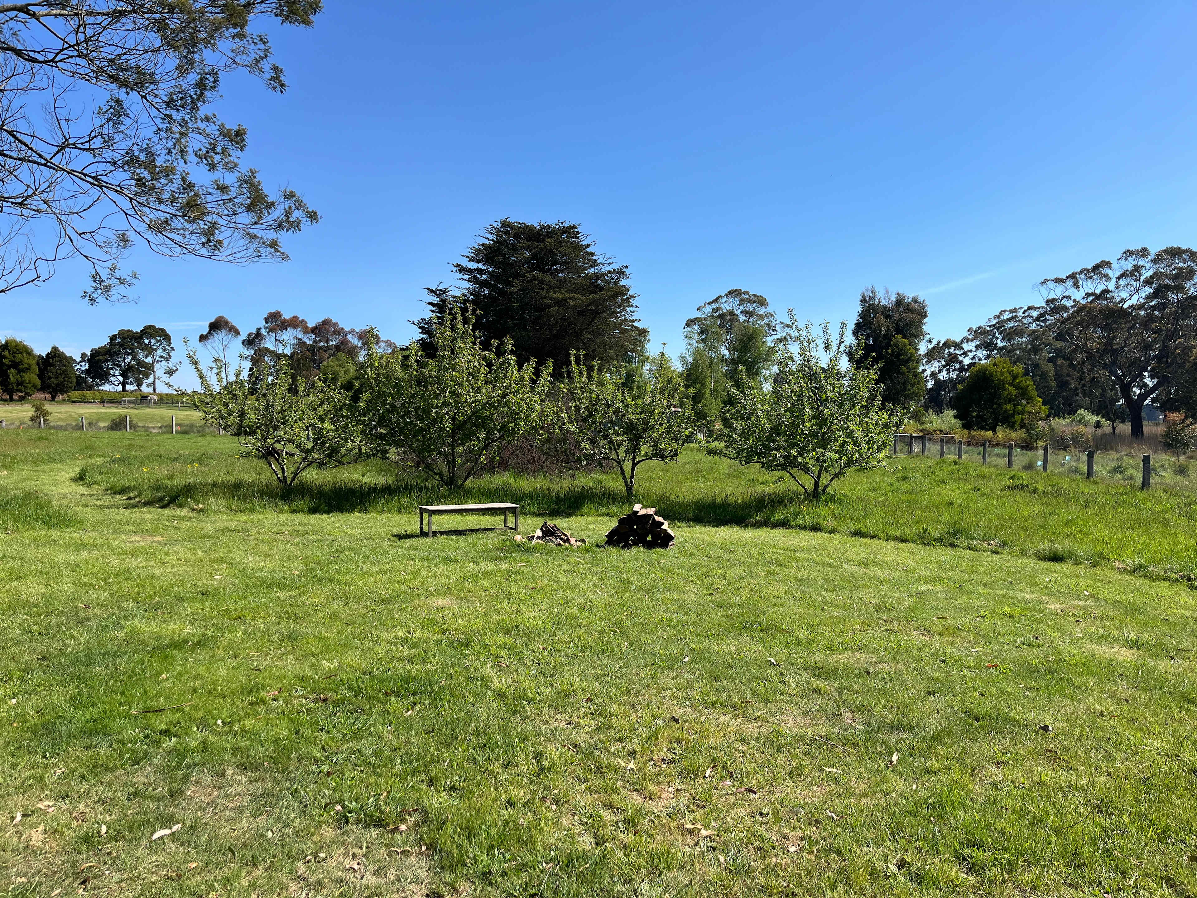 Lakeside or Orchard Paddock Camping