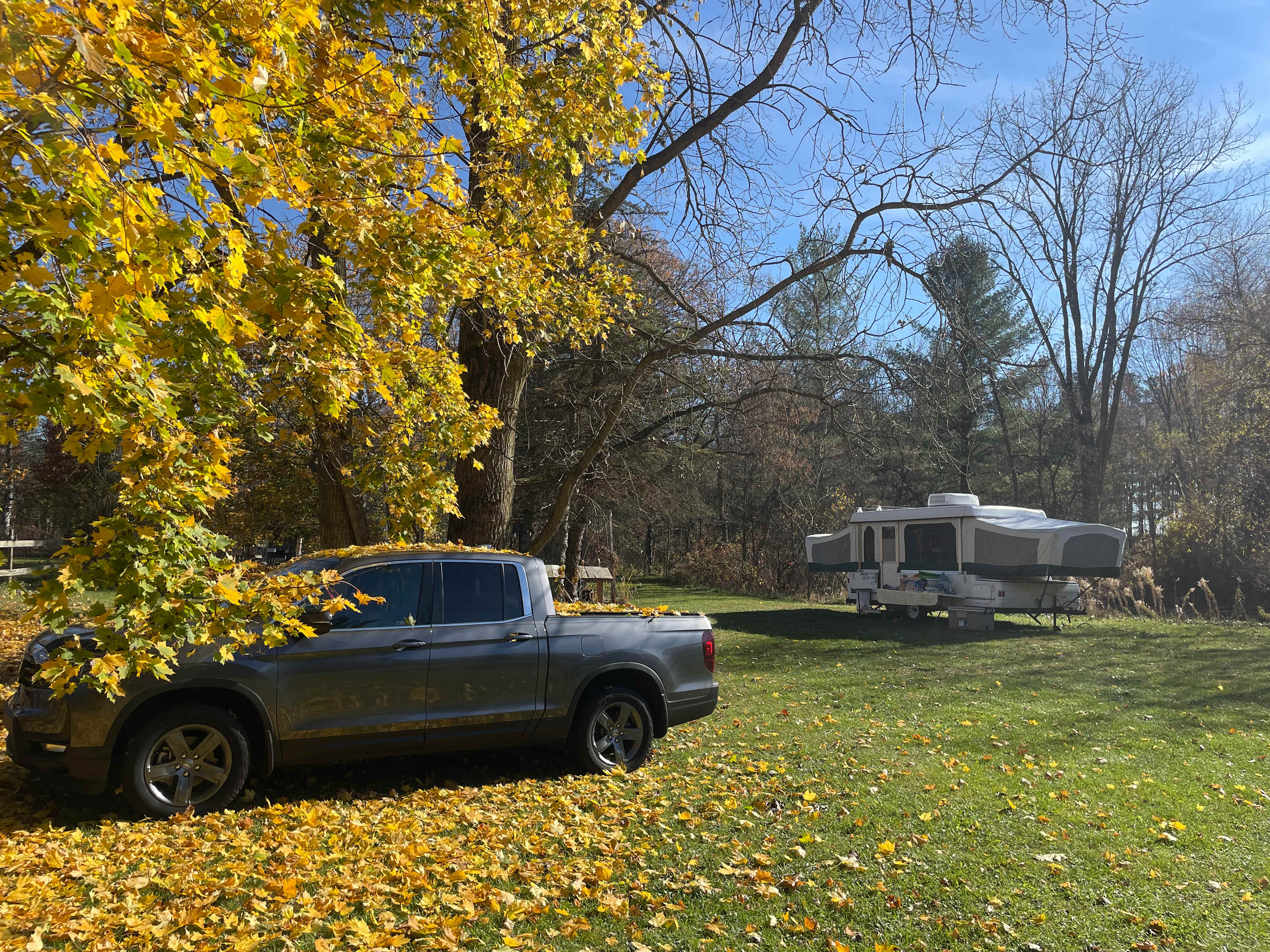 Sun Creek Farm