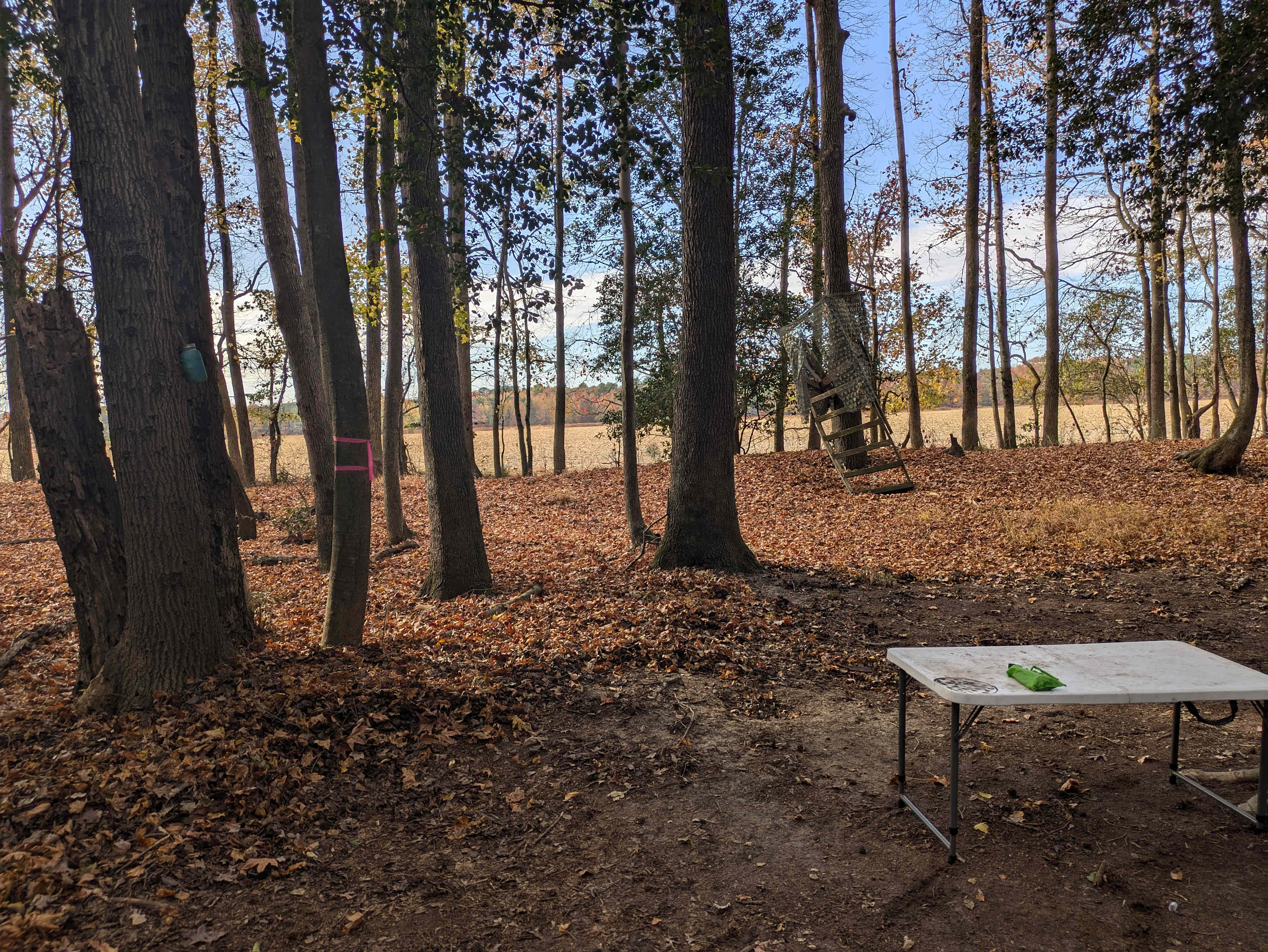 Deer Forest Hideaways