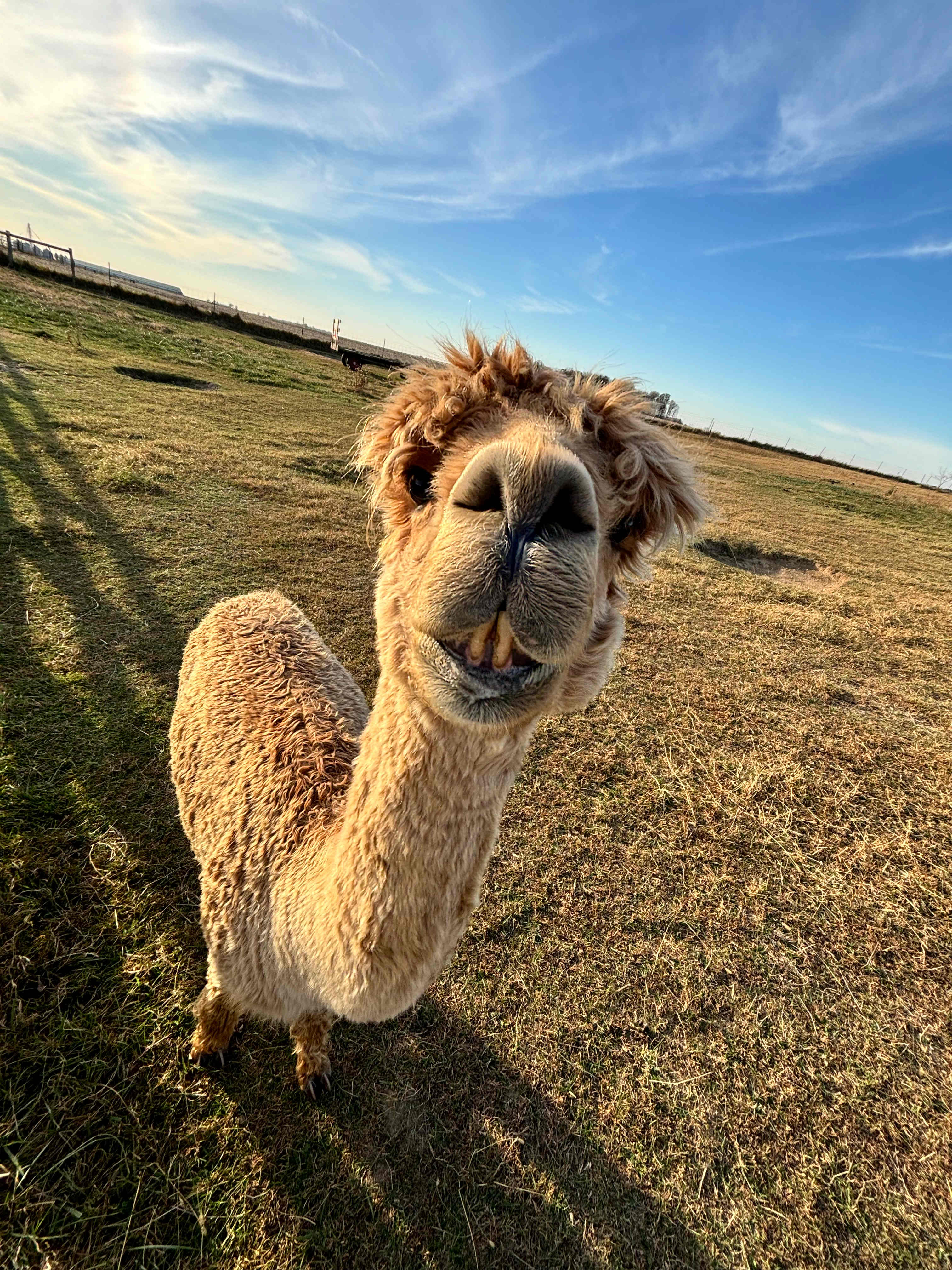 Heritage Farm Stay Adventure