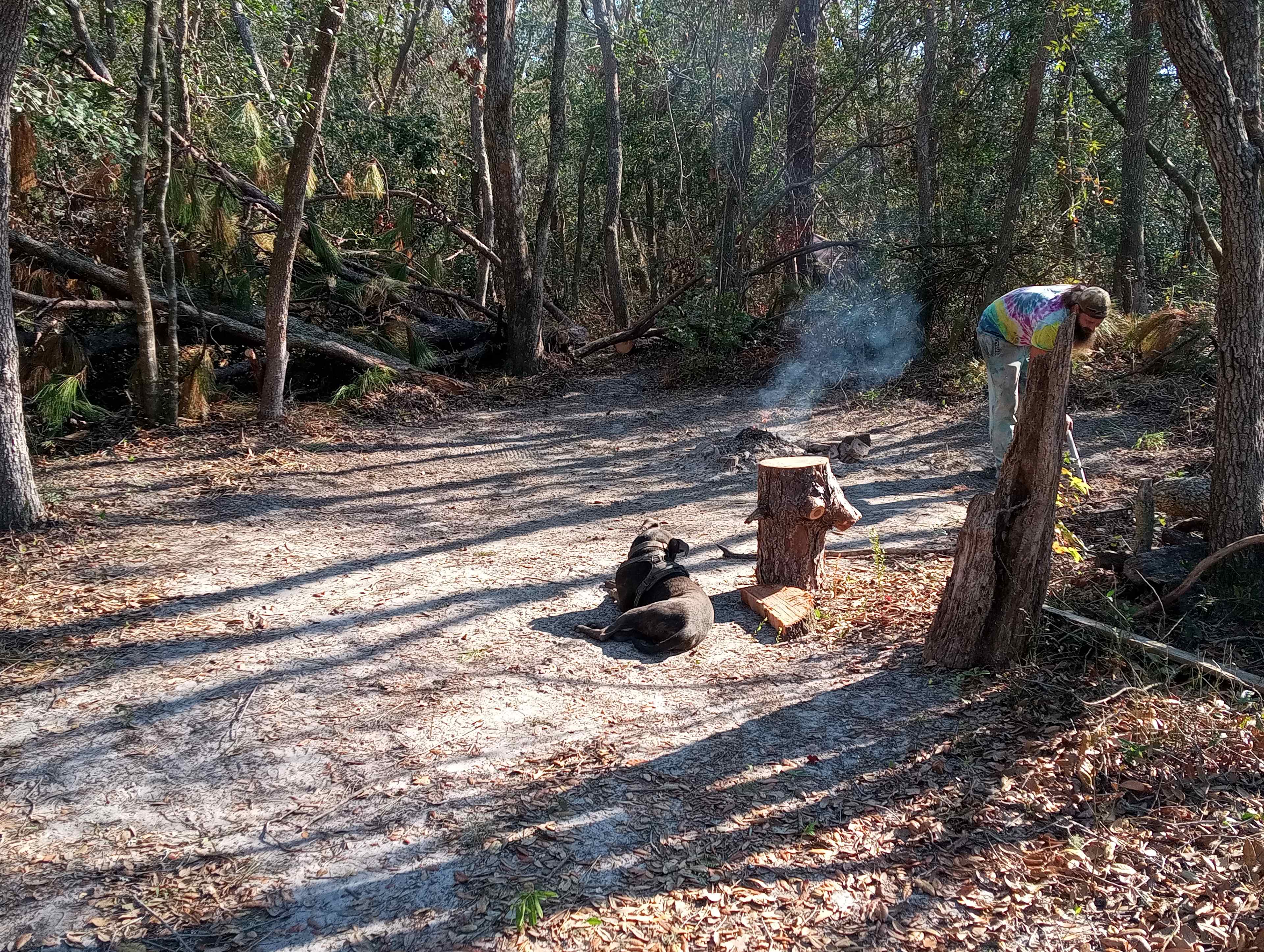 Main camping area. A rake is on site to rake up leaves near the fire pit.