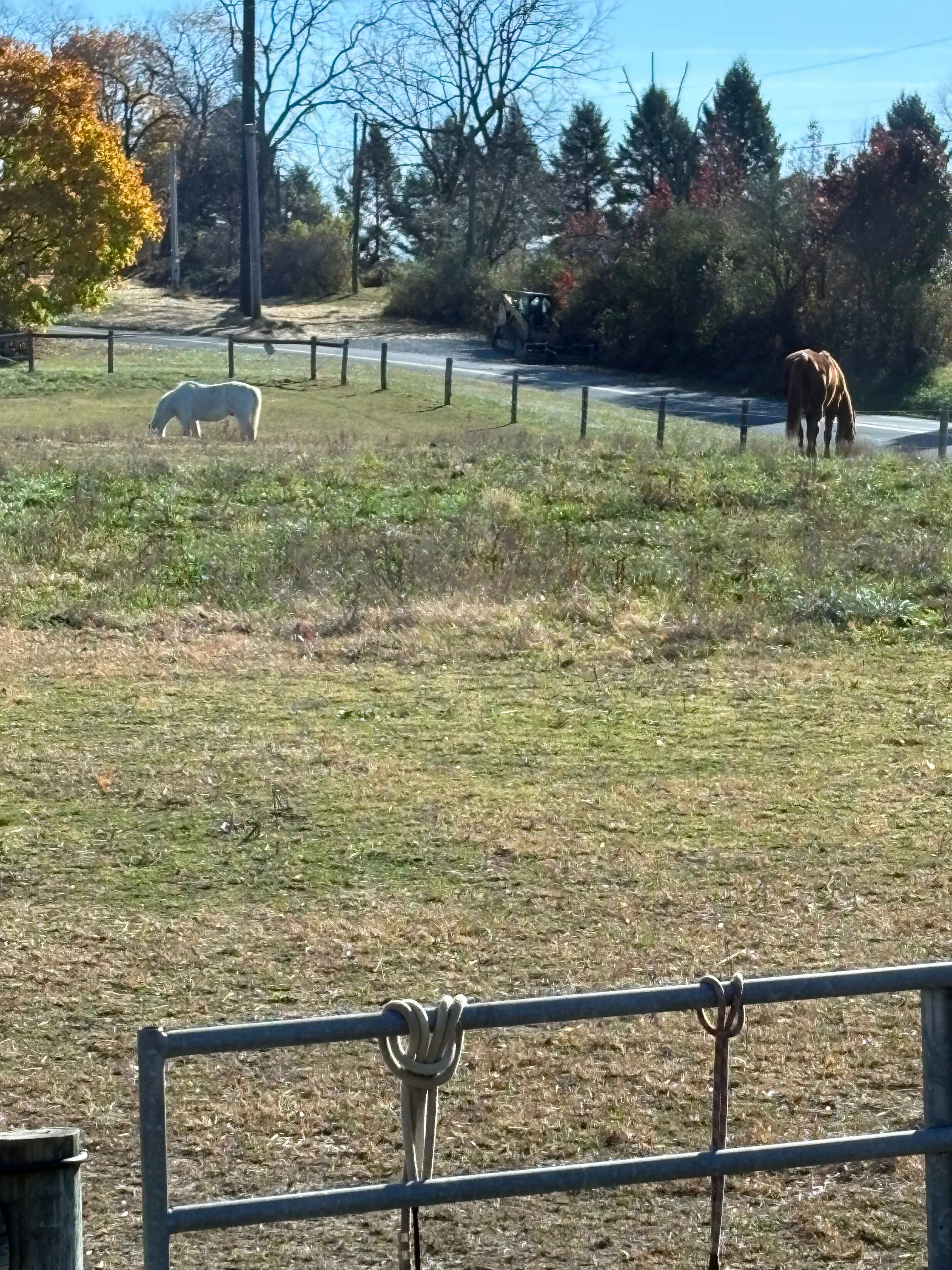 Circle S Farm Camping