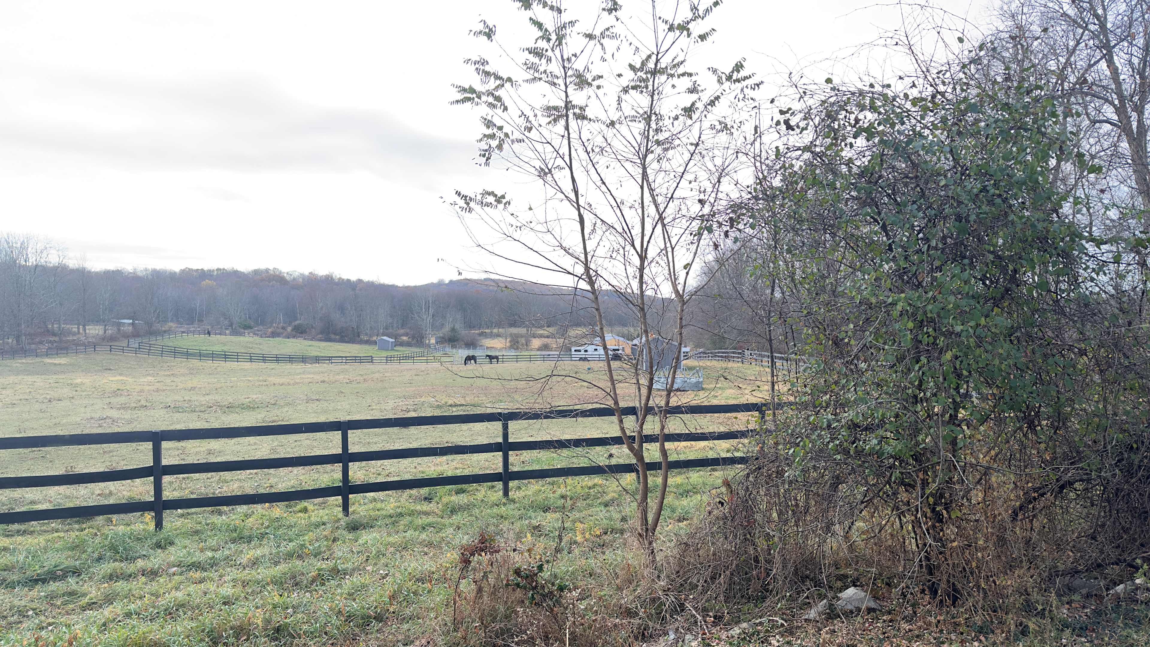 Campsites at Stonewall