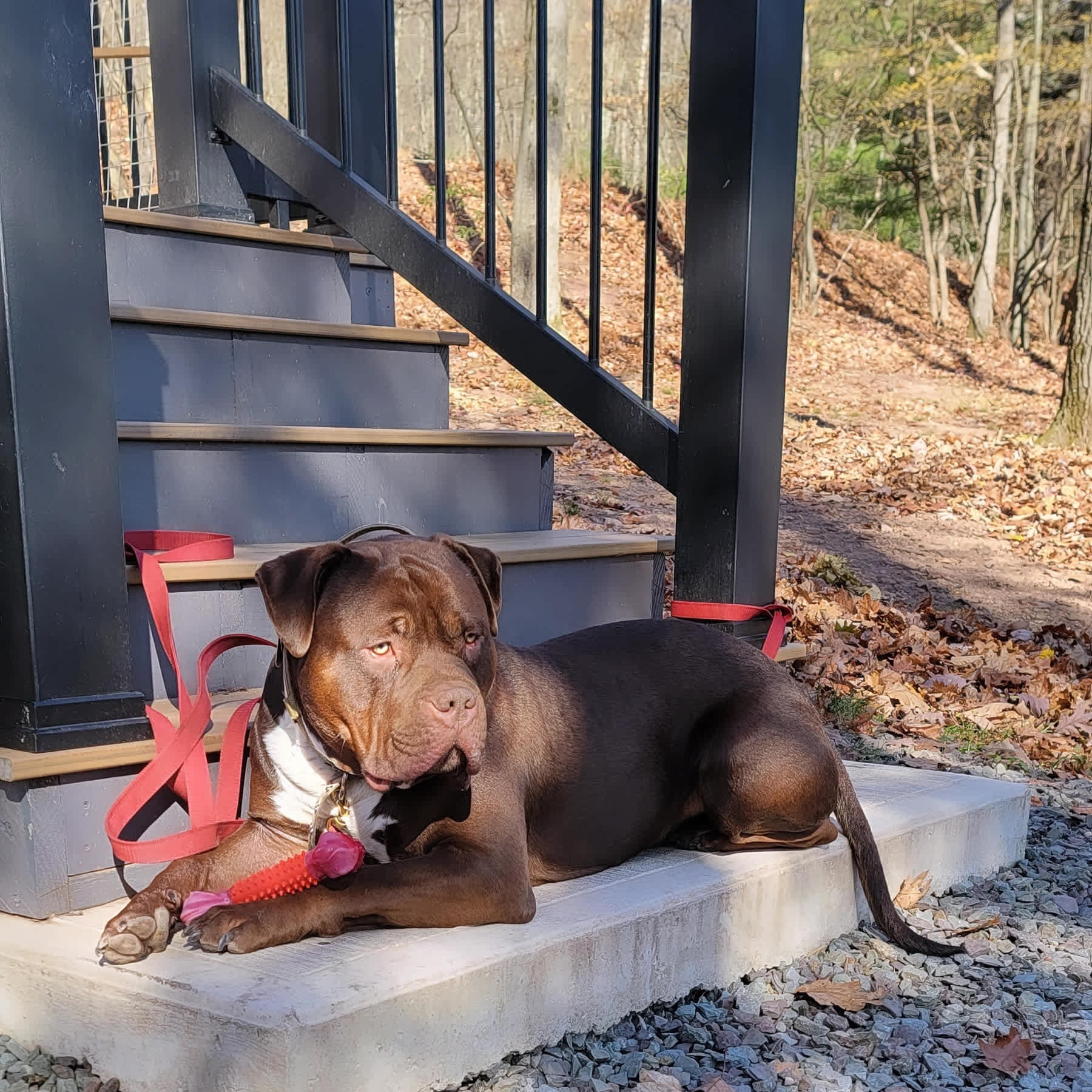 West Creek Campground