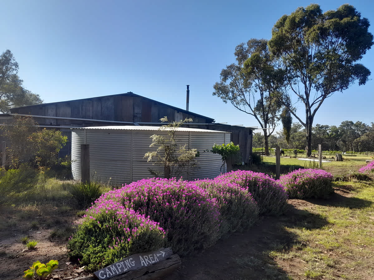 Maalaabidi Naturist Farm Stay
