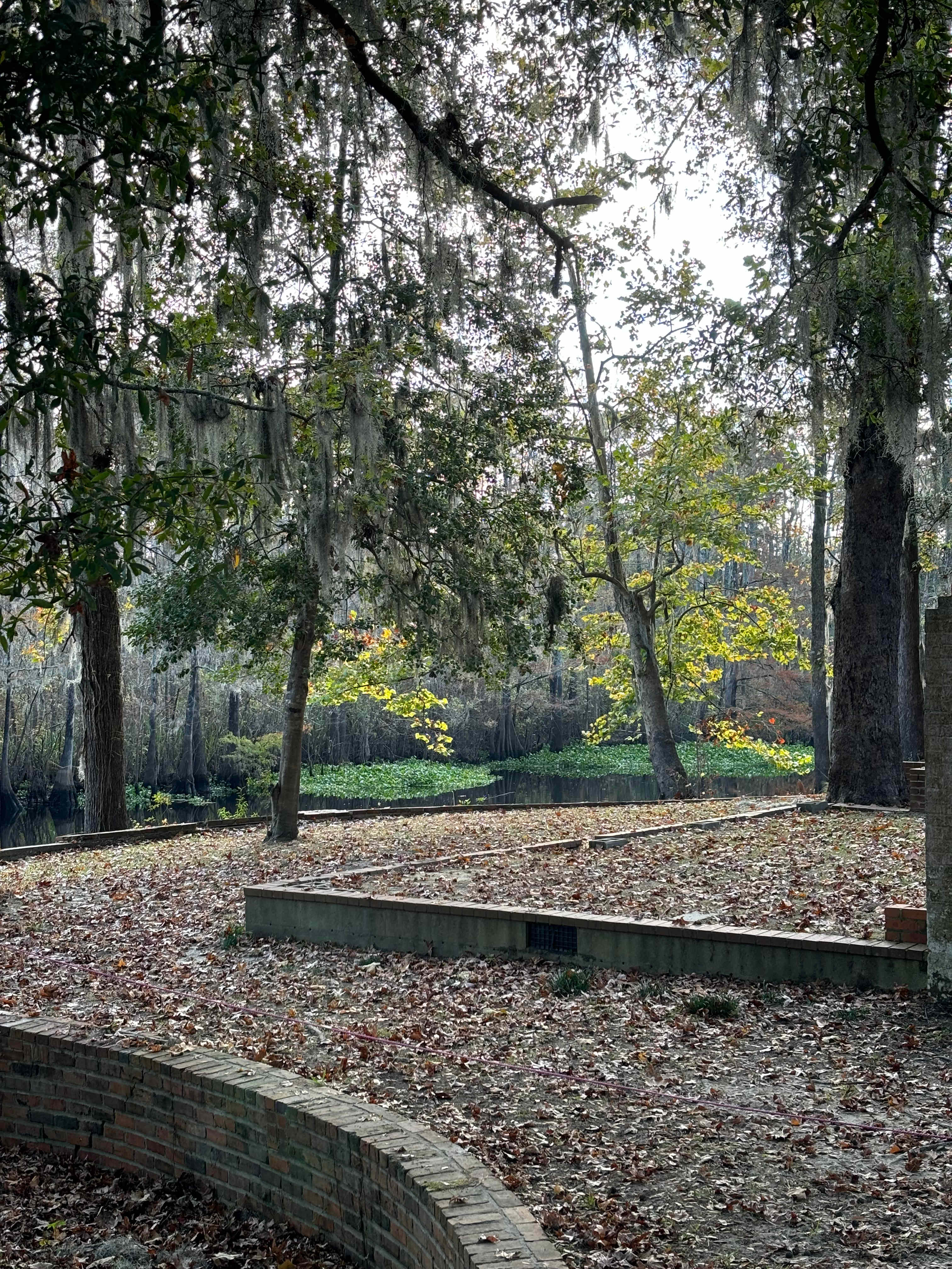 Thompson Farm