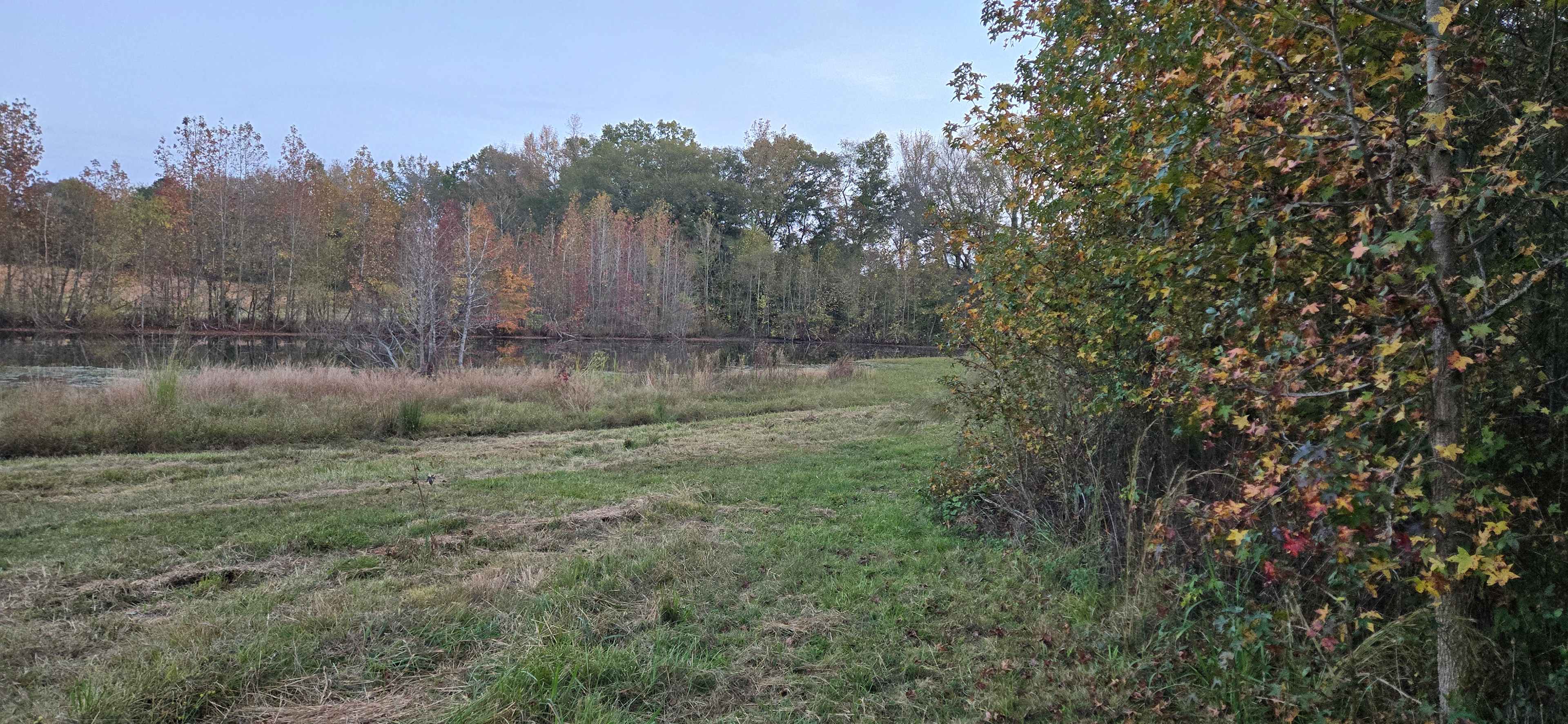 Open large grass fields near pond