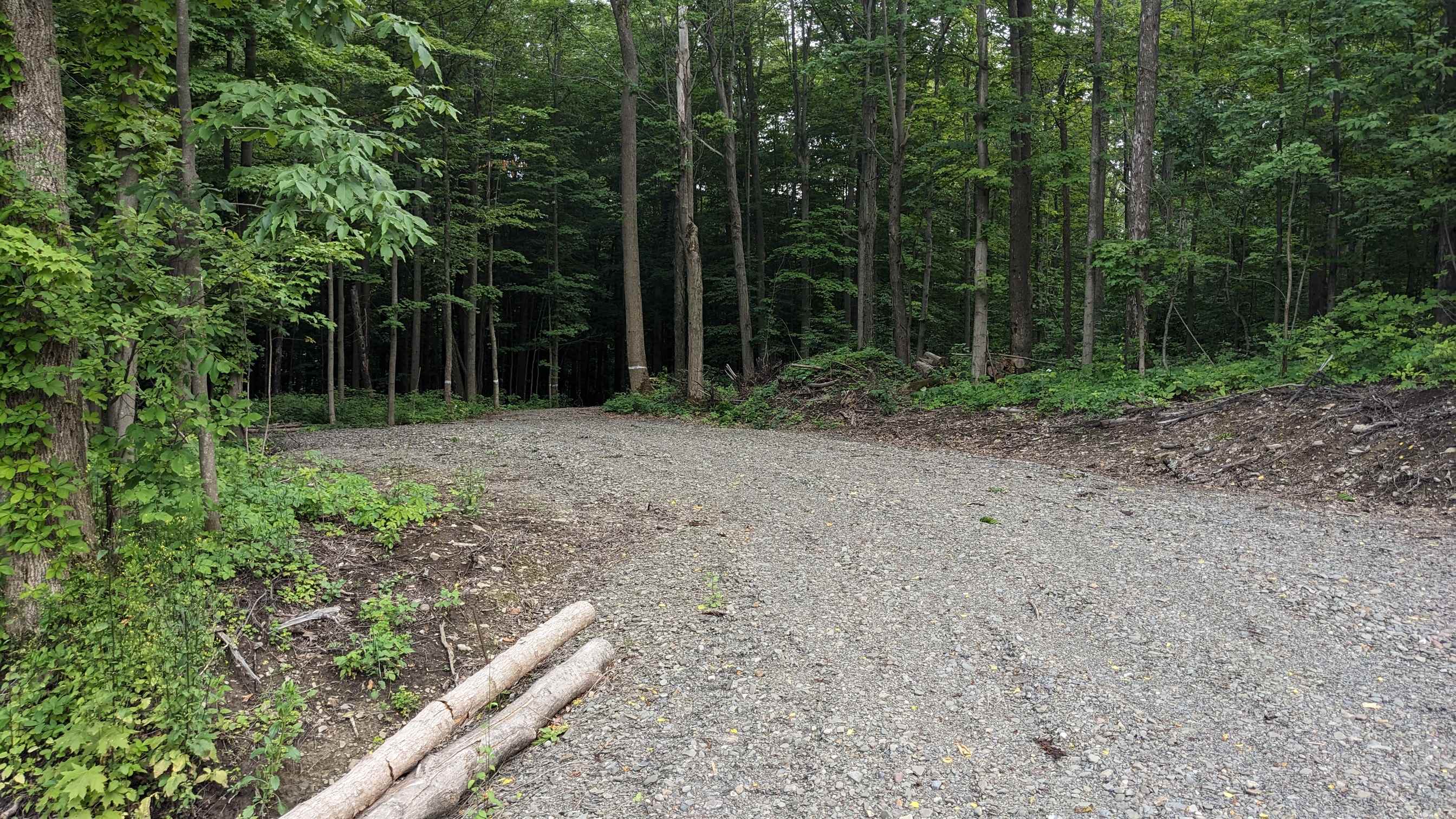 HARVEY HILL CAMP