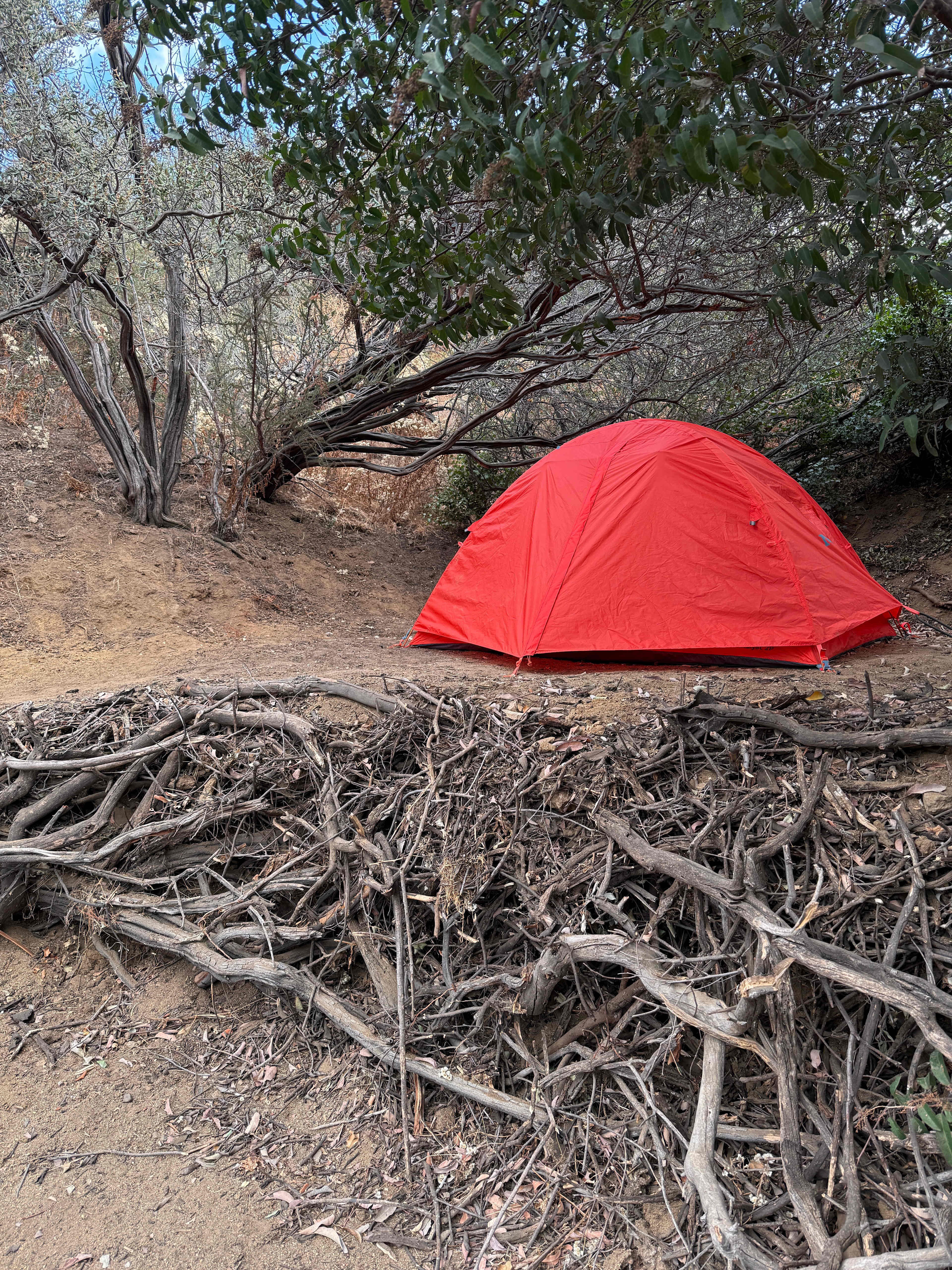 Loved how tucked away this campsite was! 