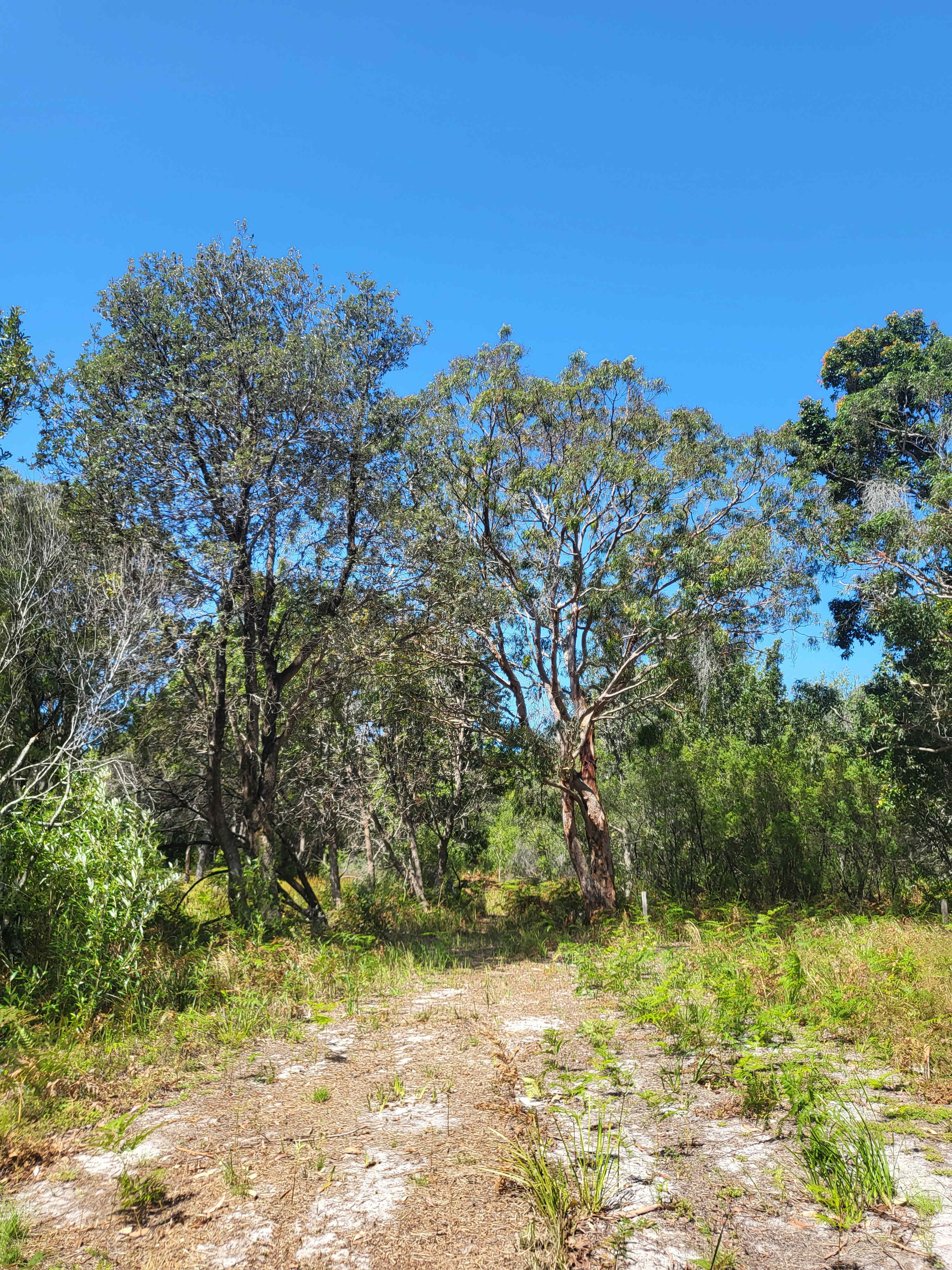 Start the 4WD adventure through bush tracks to the bush camp.
