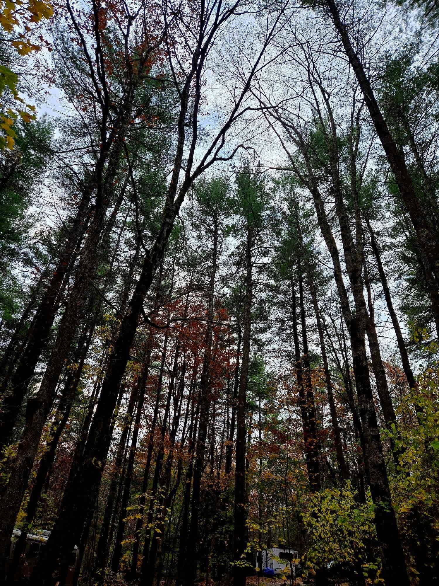 Spacious Skies Minute Man Campground