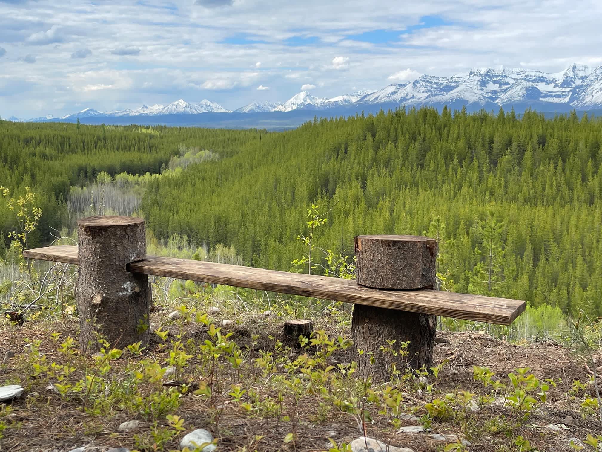 Polebridge Cabin and Tents, VIEWS