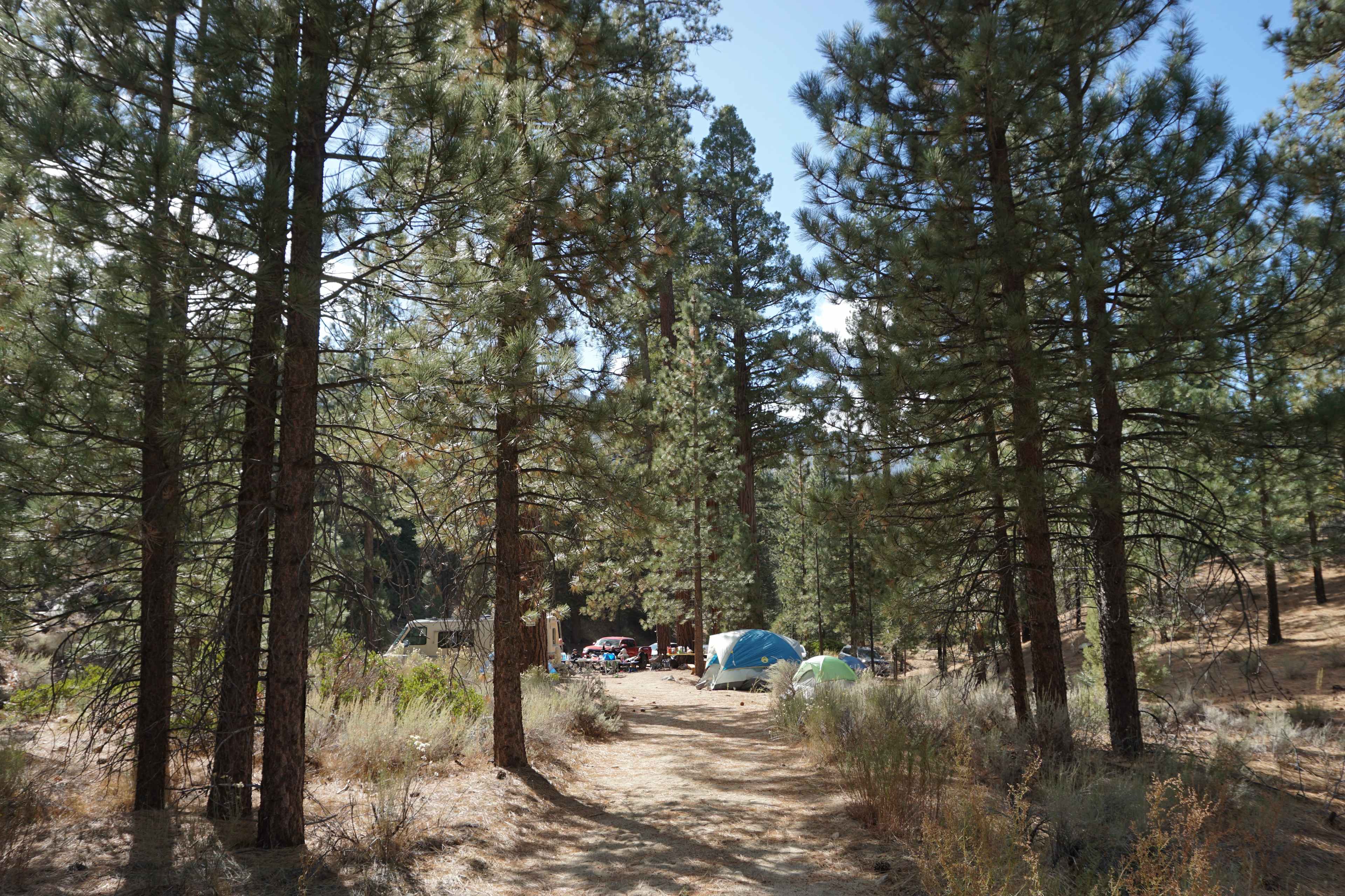 Camp Durrwood