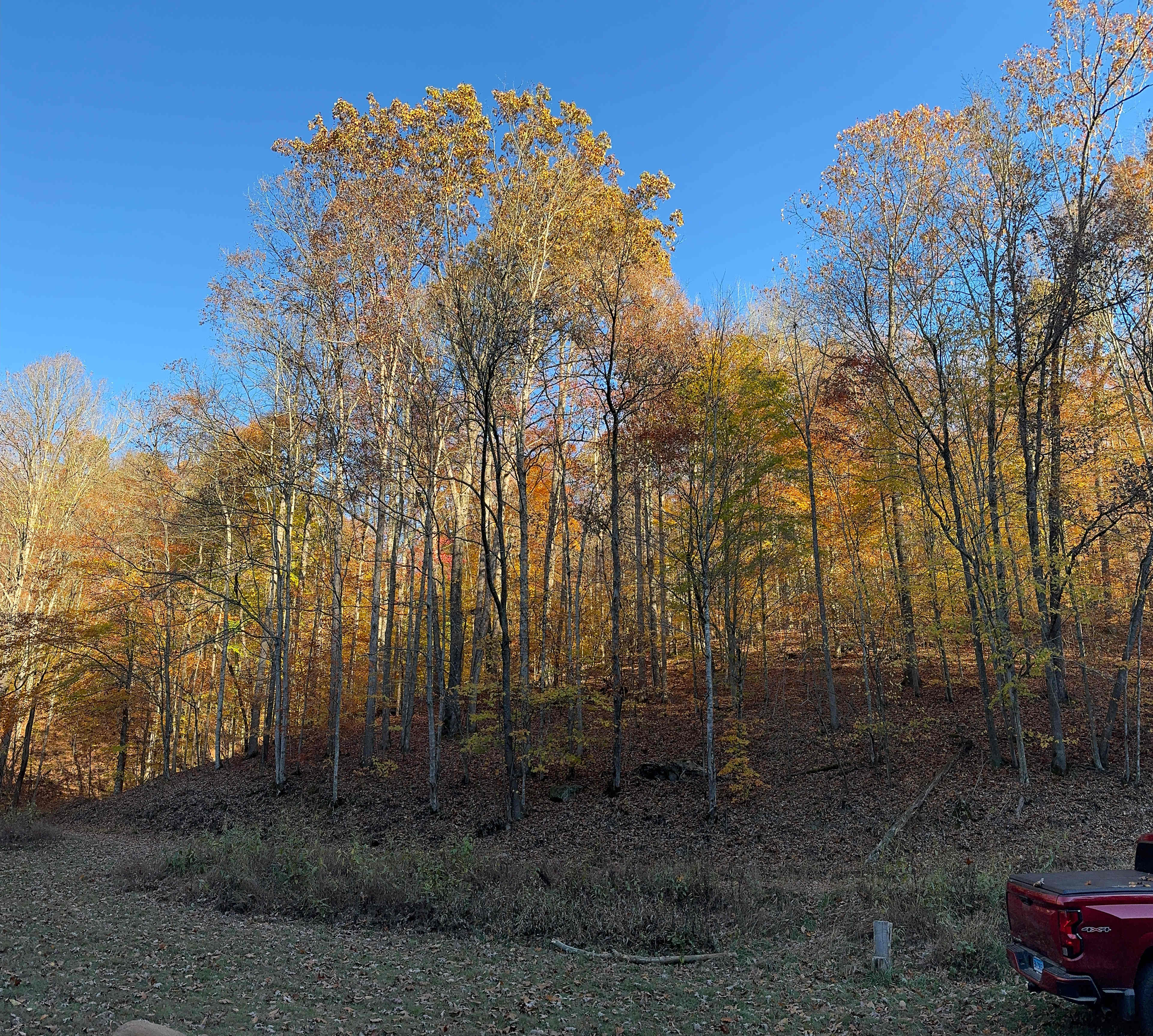 Coon Creek Cove Hideaway