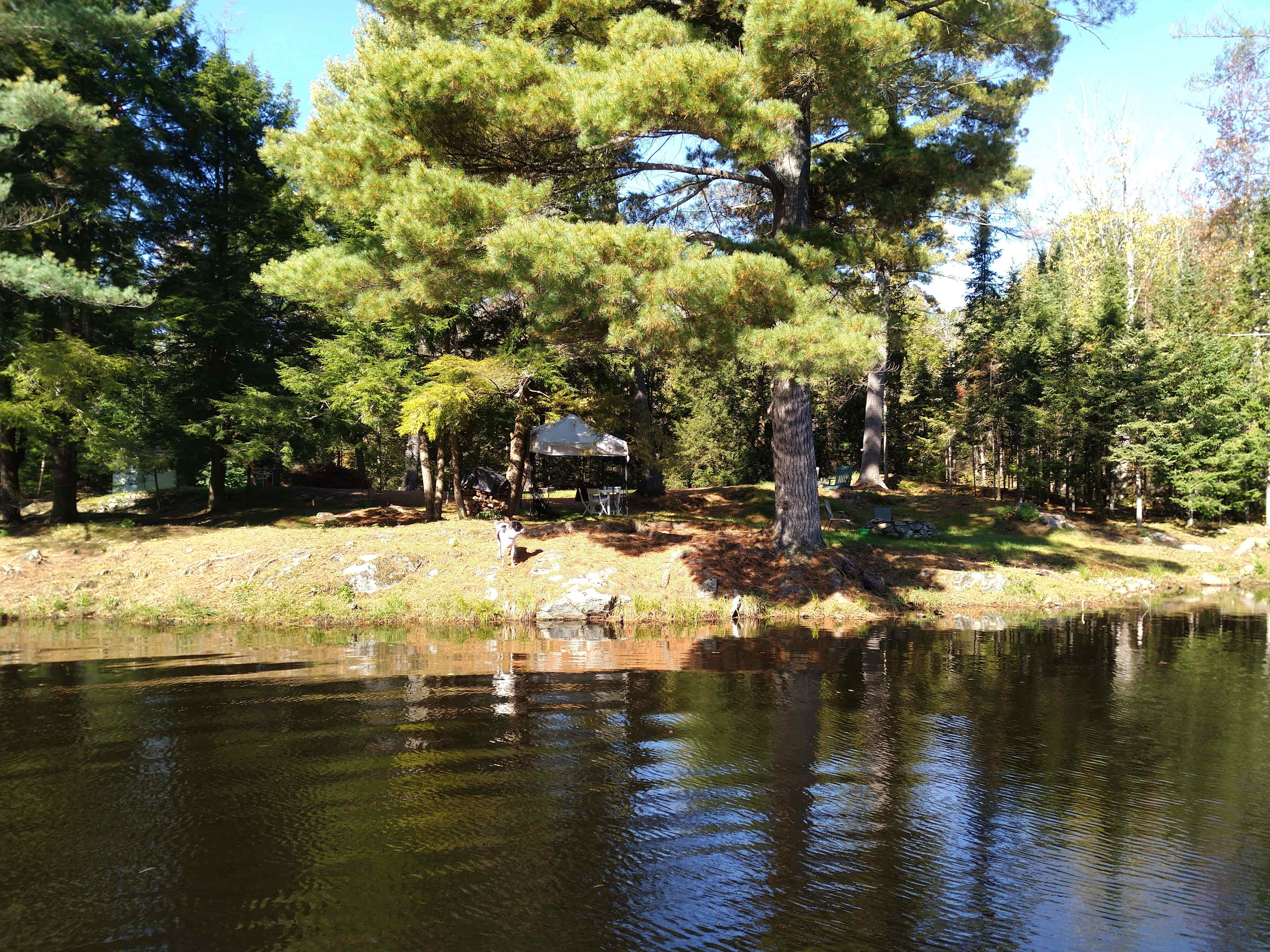 Hemlock Point Campground