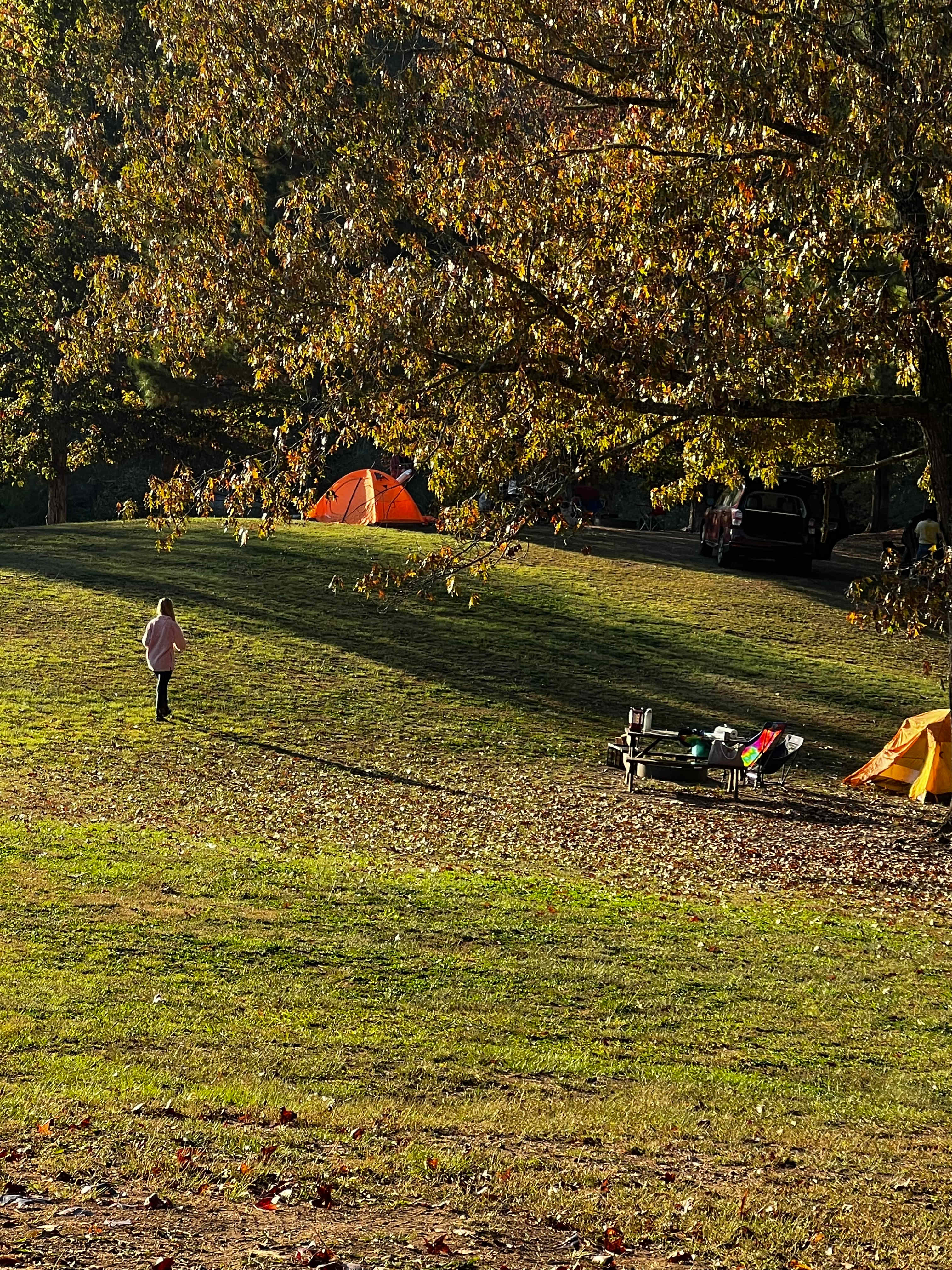 Bohamia - Glamp/RV/Camp