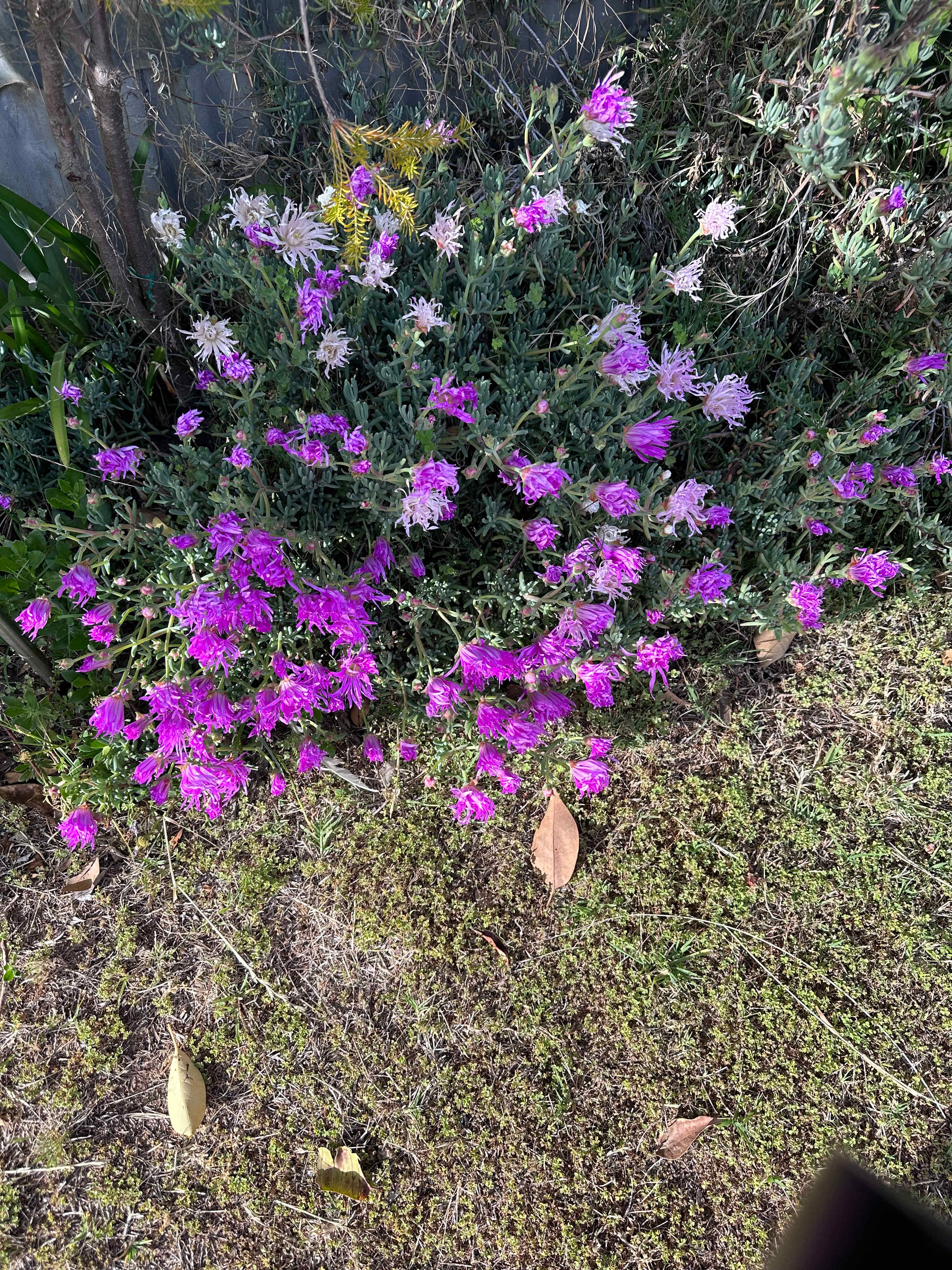 Young Country Getaway