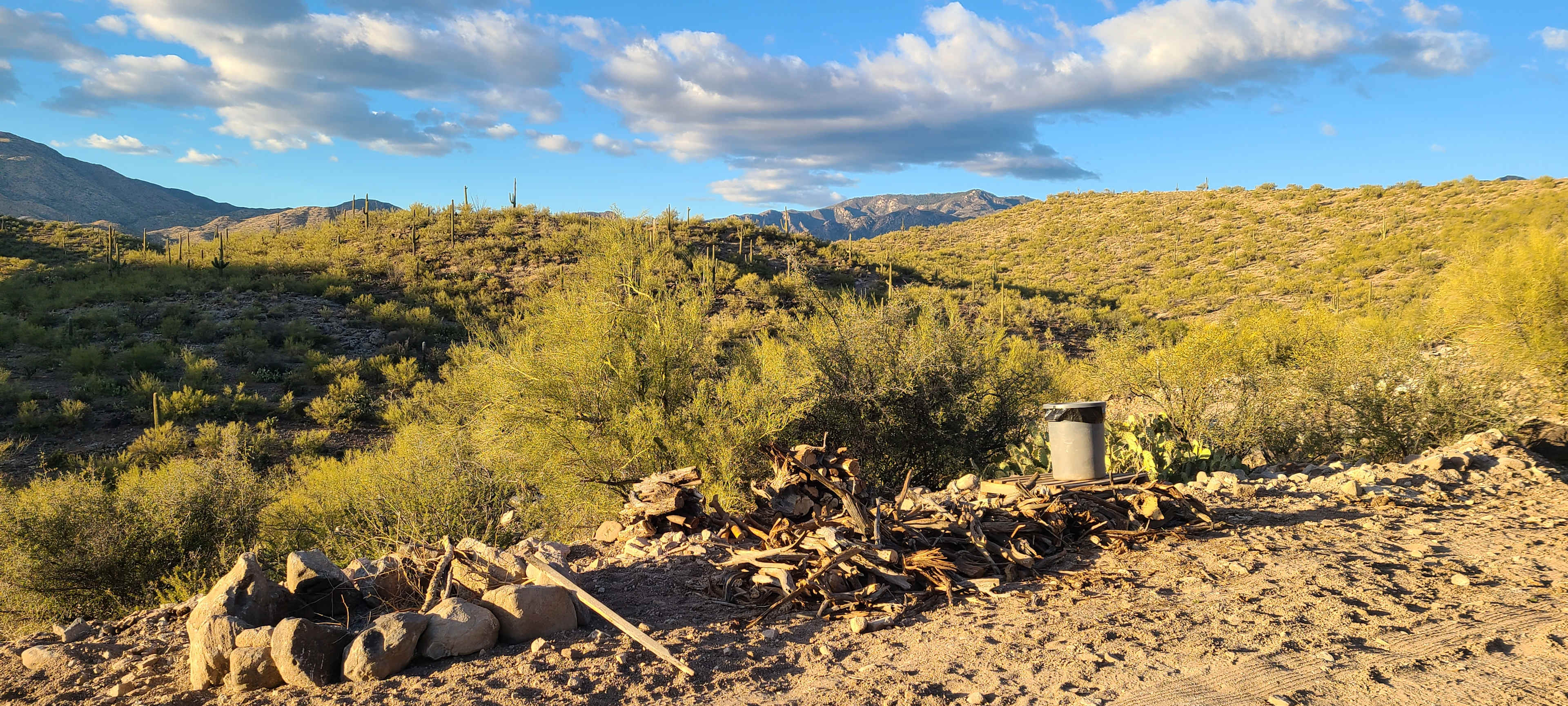 Picture of the site