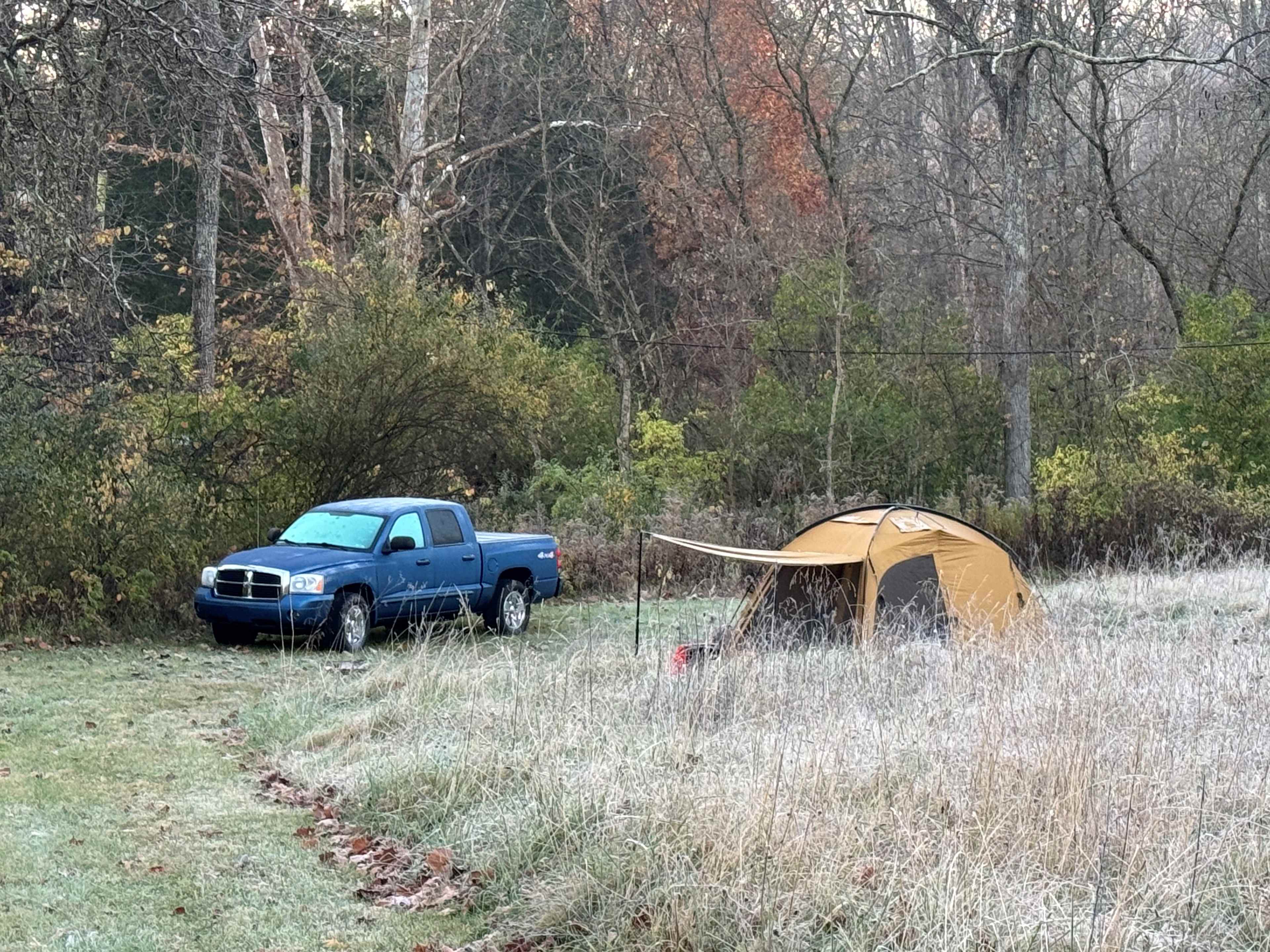 Picture of the site