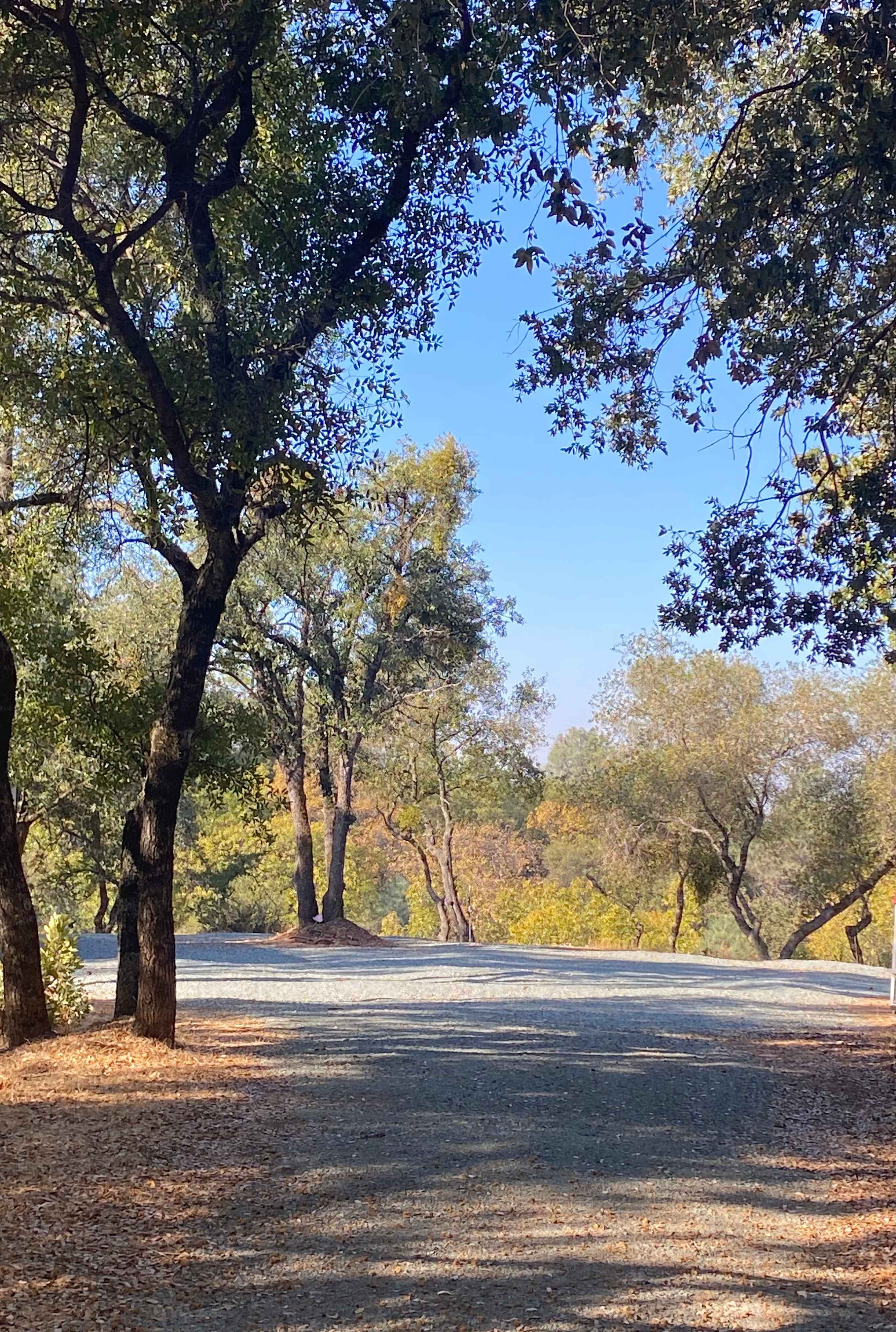 gold country camping