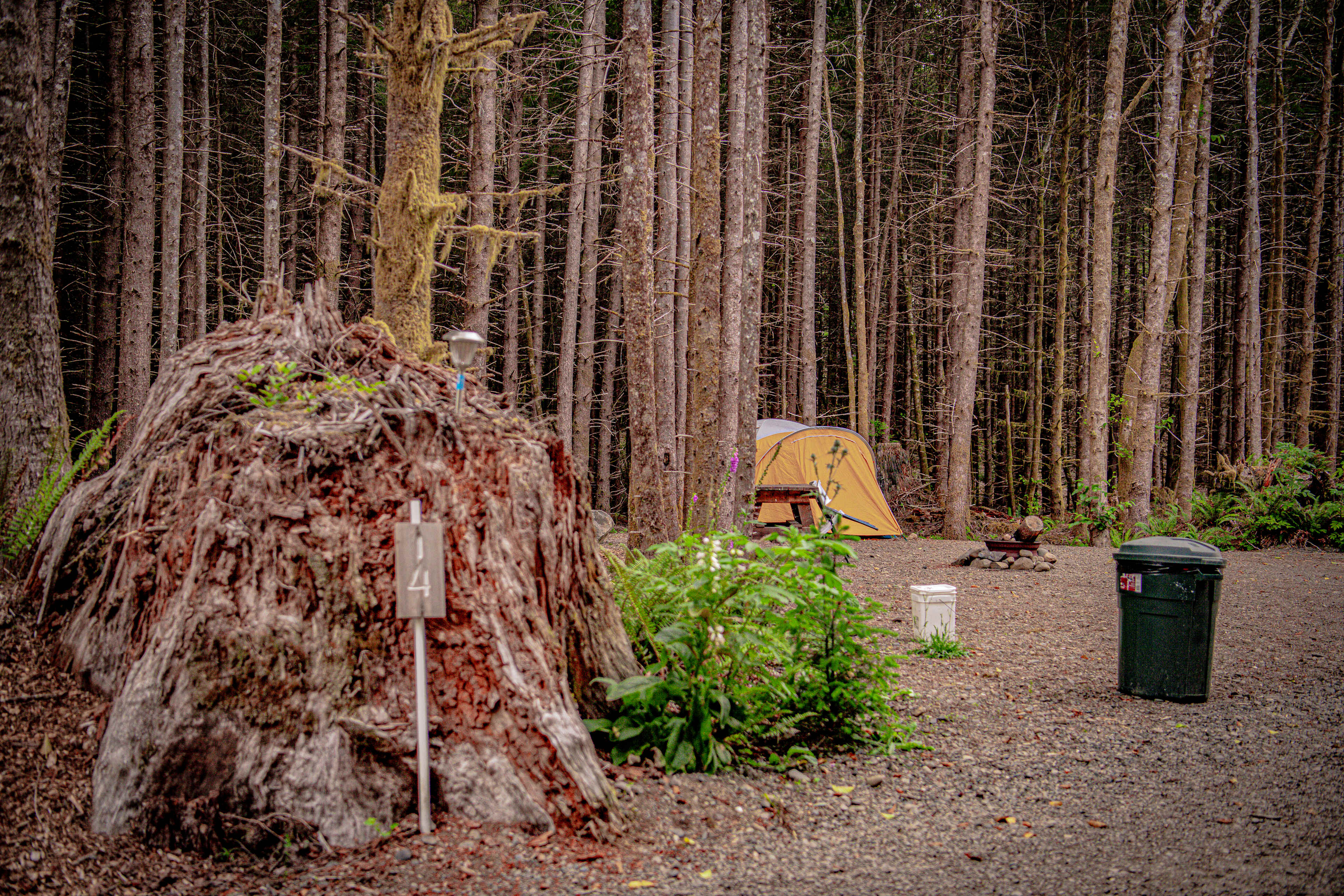 Picture of the site