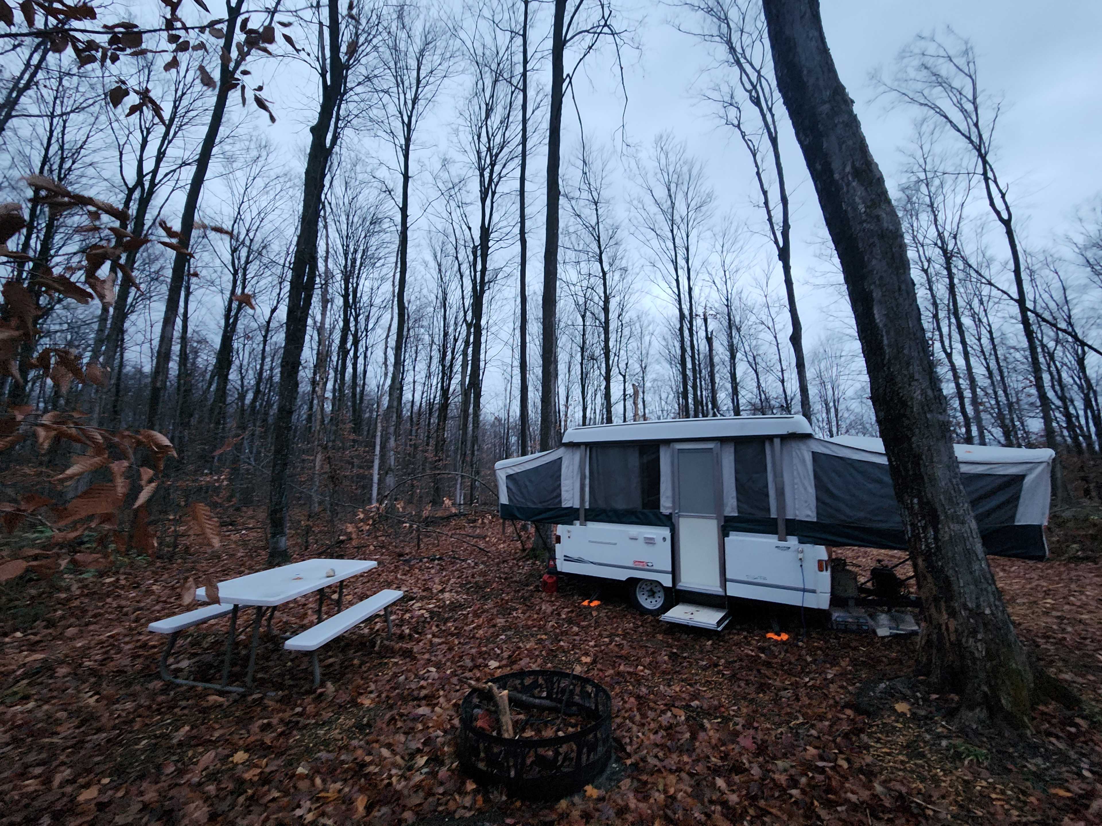 Picture of the site